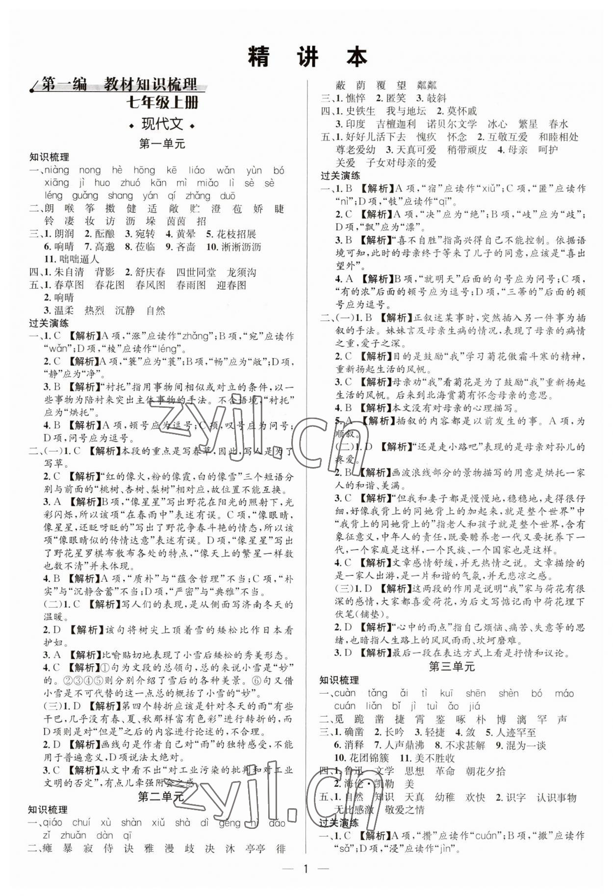 2023年中考对策语文泰安专版 参考答案第1页