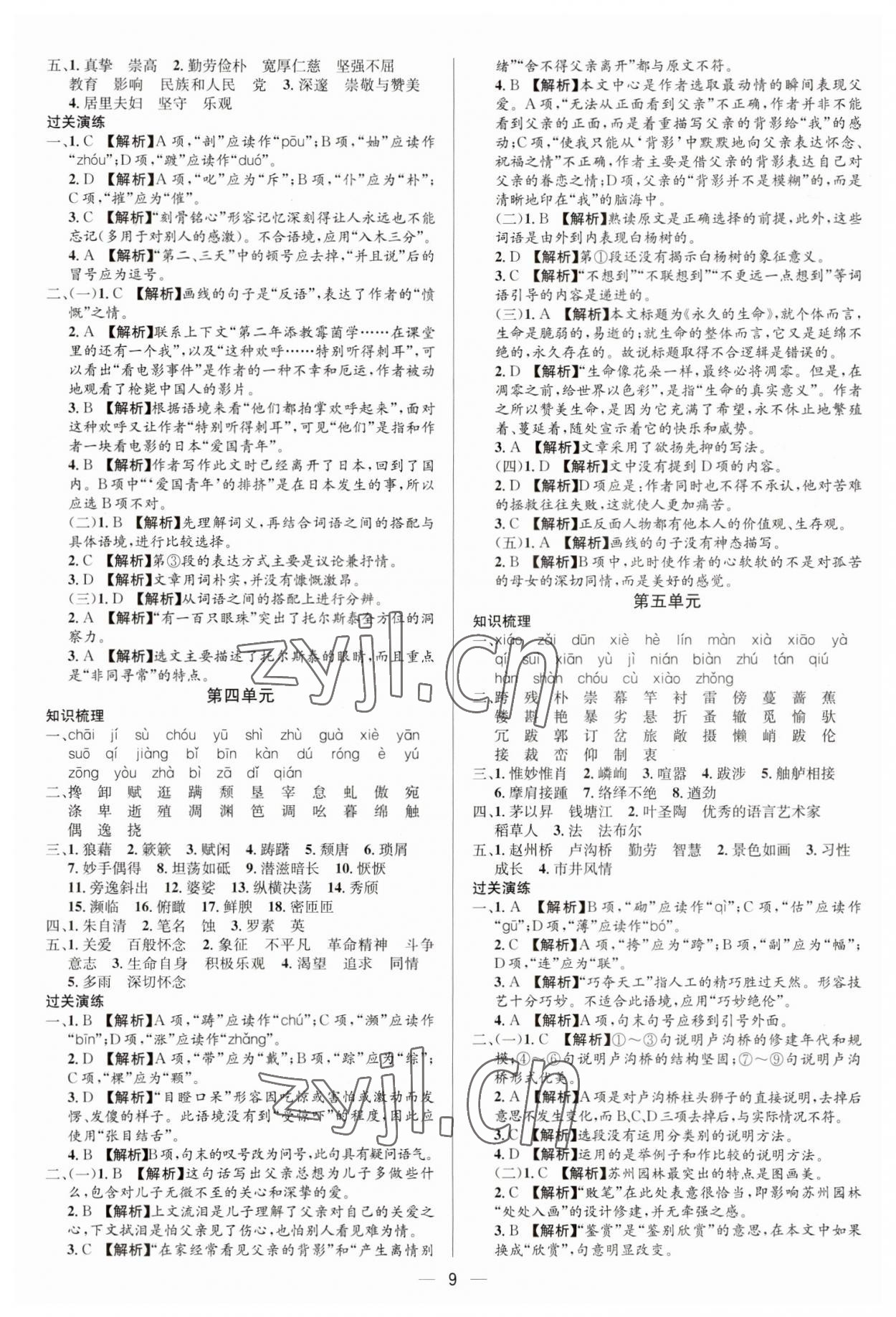 2023年中考对策语文泰安专版 参考答案第9页