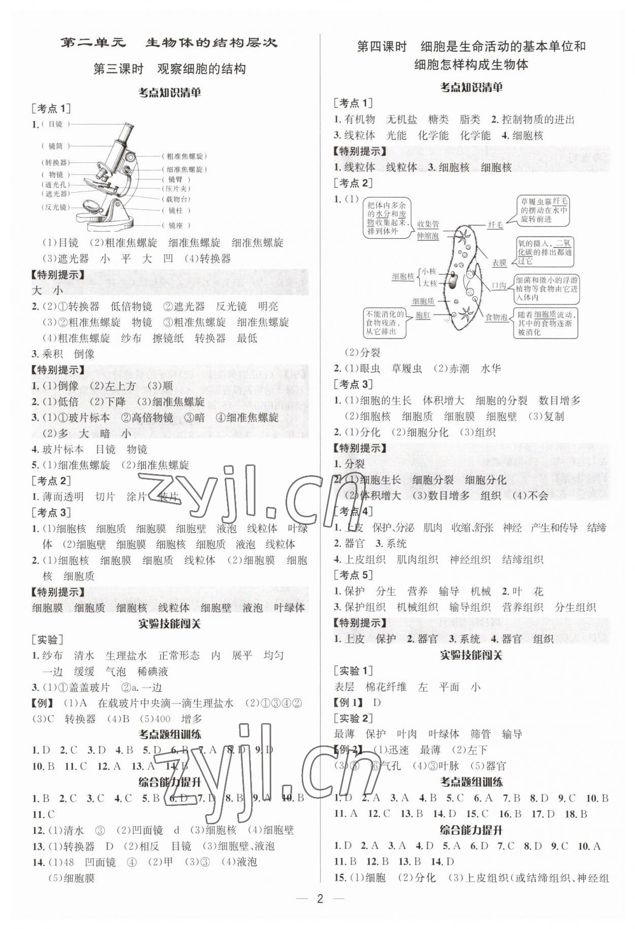 2023年中考對策生物泰安專版 參考答案第2頁