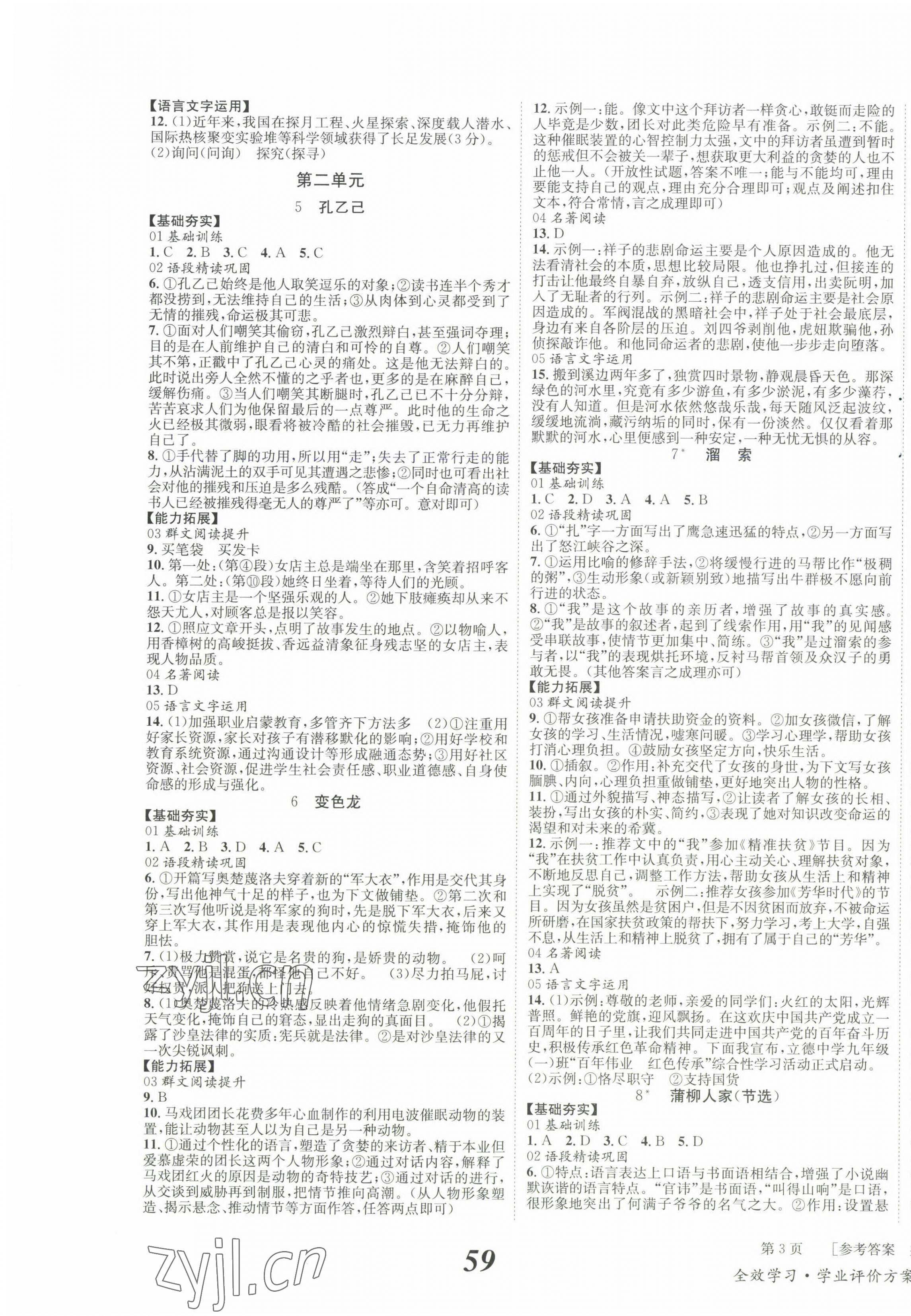 2023年全效學習學業(yè)評價方案九年級語文下冊人教版 第3頁