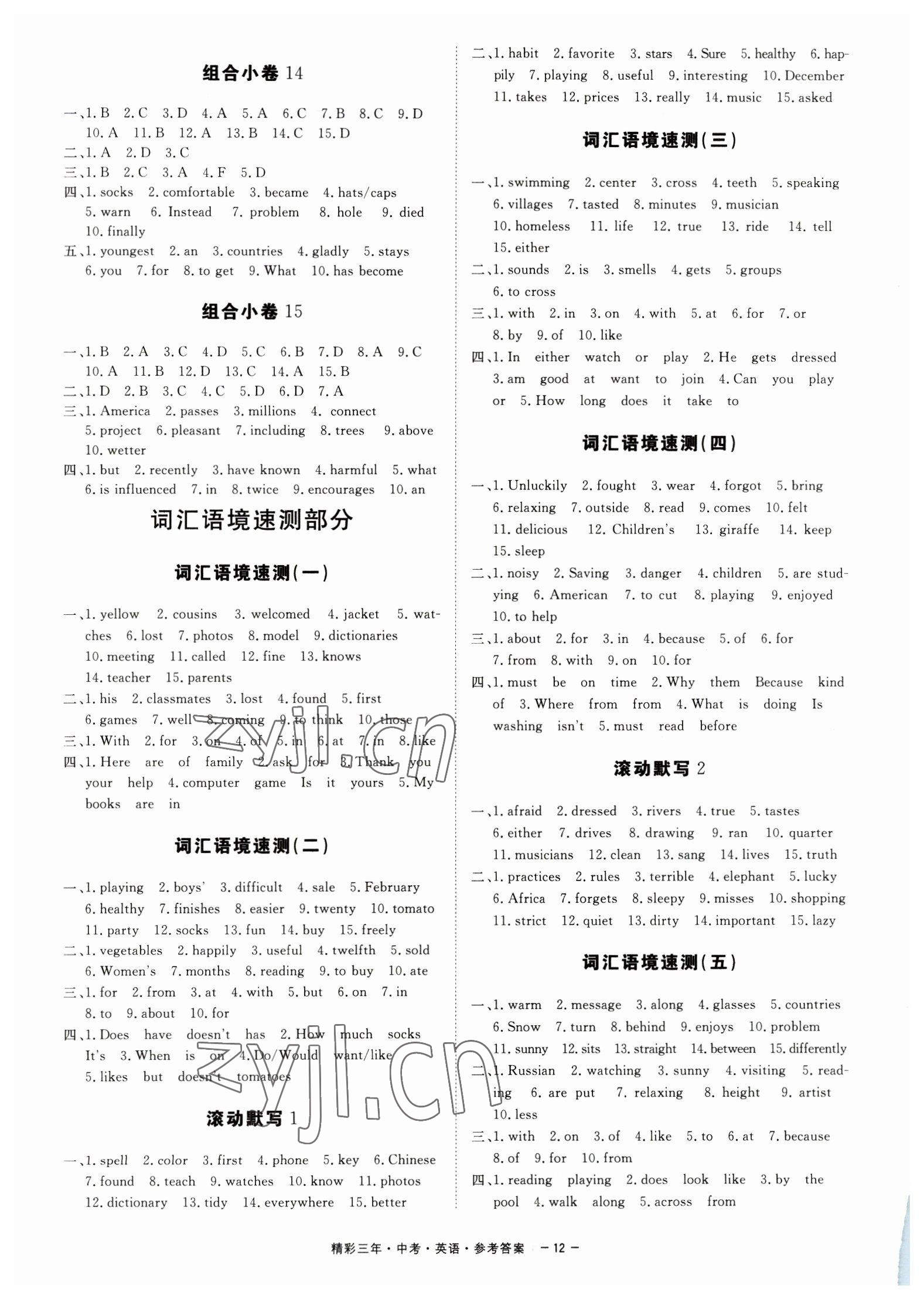 2023年精彩三年中考英语中考浙江专版 第12页