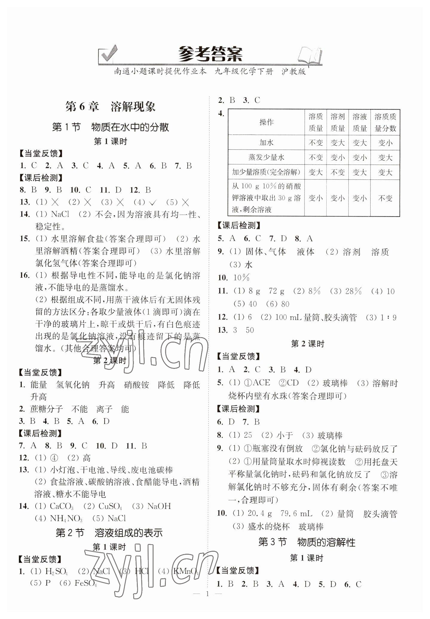 2023年南通小題課時提優(yōu)作業(yè)本九年級化學下冊滬教版 第1頁