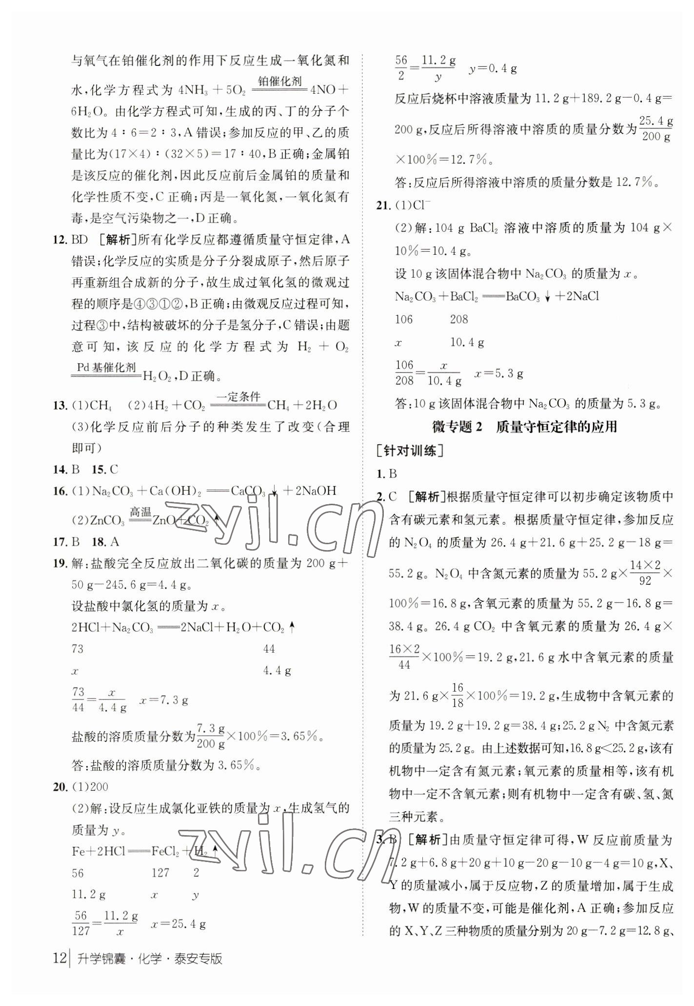 2023年升學(xué)錦囊化學(xué)泰安專版 第12頁