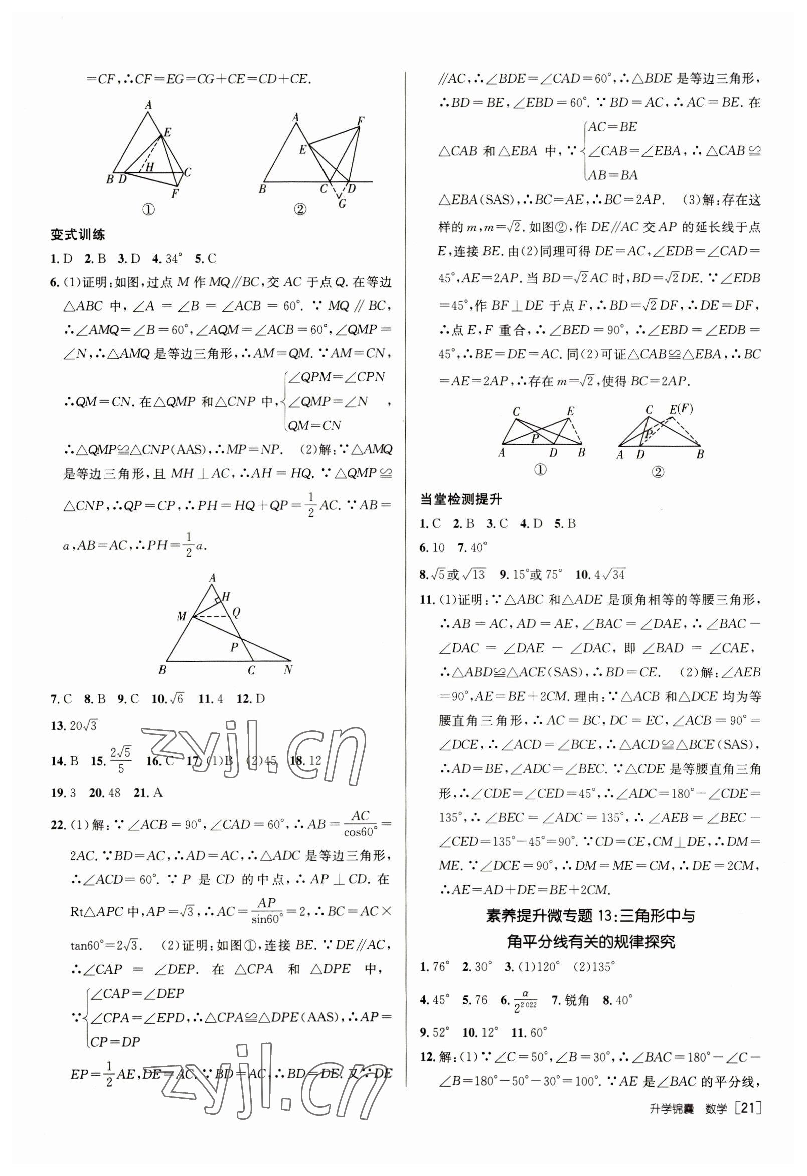 2023年升學錦囊數(shù)學泰安專版 參考答案第21頁