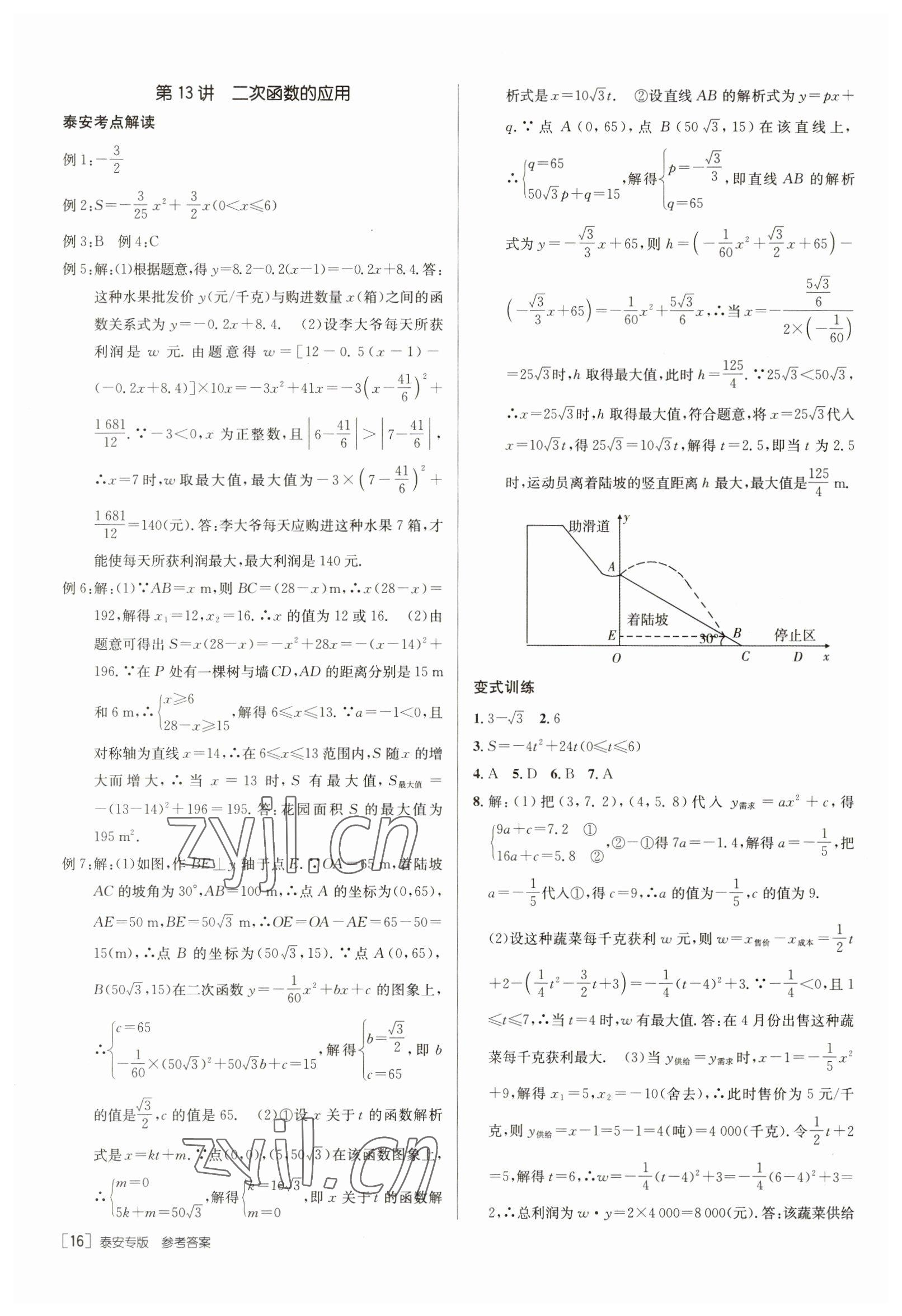 2023年升學(xué)錦囊數(shù)學(xué)泰安專版 參考答案第16頁(yè)