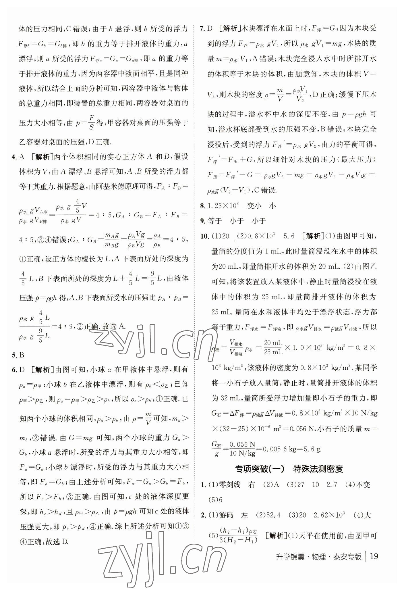 2023年升学锦囊物理泰安专版 参考答案第19页