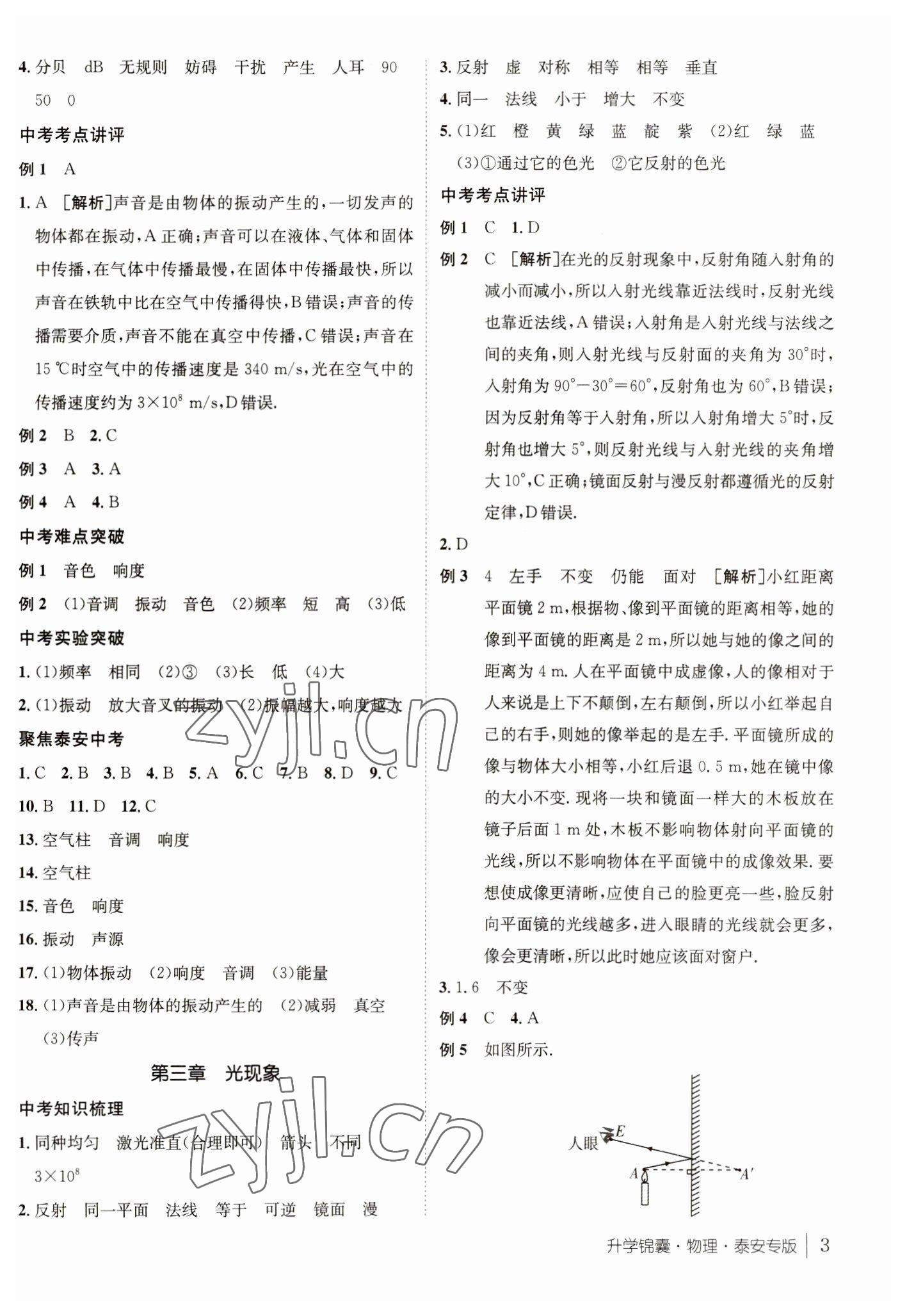 2023年升学锦囊物理泰安专版 参考答案第3页