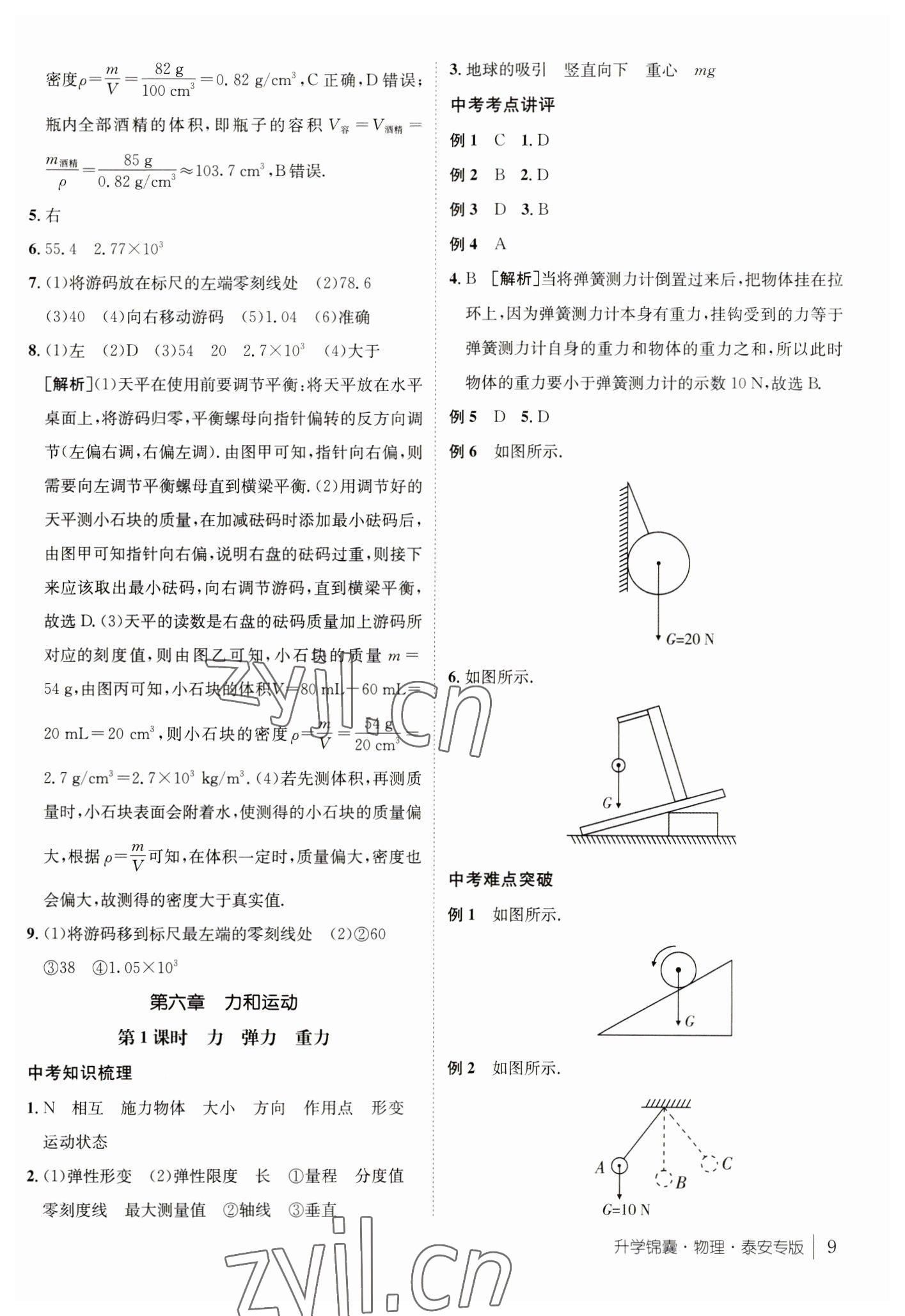 2023年升学锦囊物理泰安专版 参考答案第9页