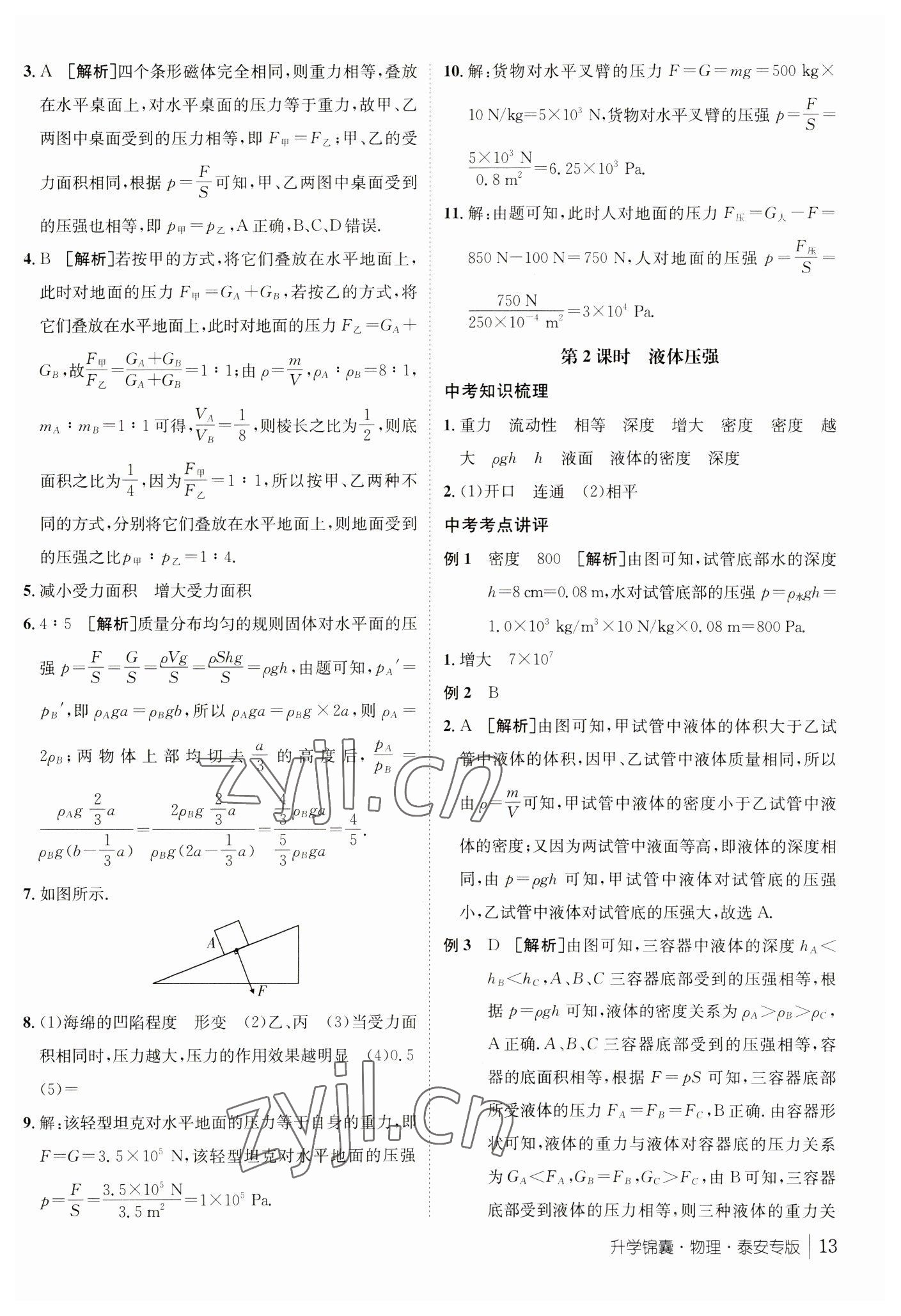 2023年升學(xué)錦囊物理泰安專版 參考答案第13頁(yè)