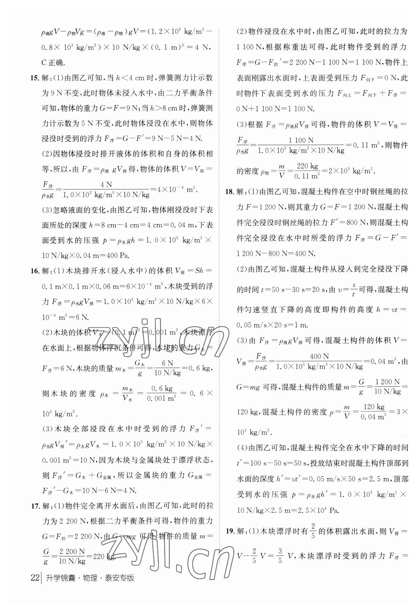 2023年升学锦囊物理泰安专版 参考答案第22页