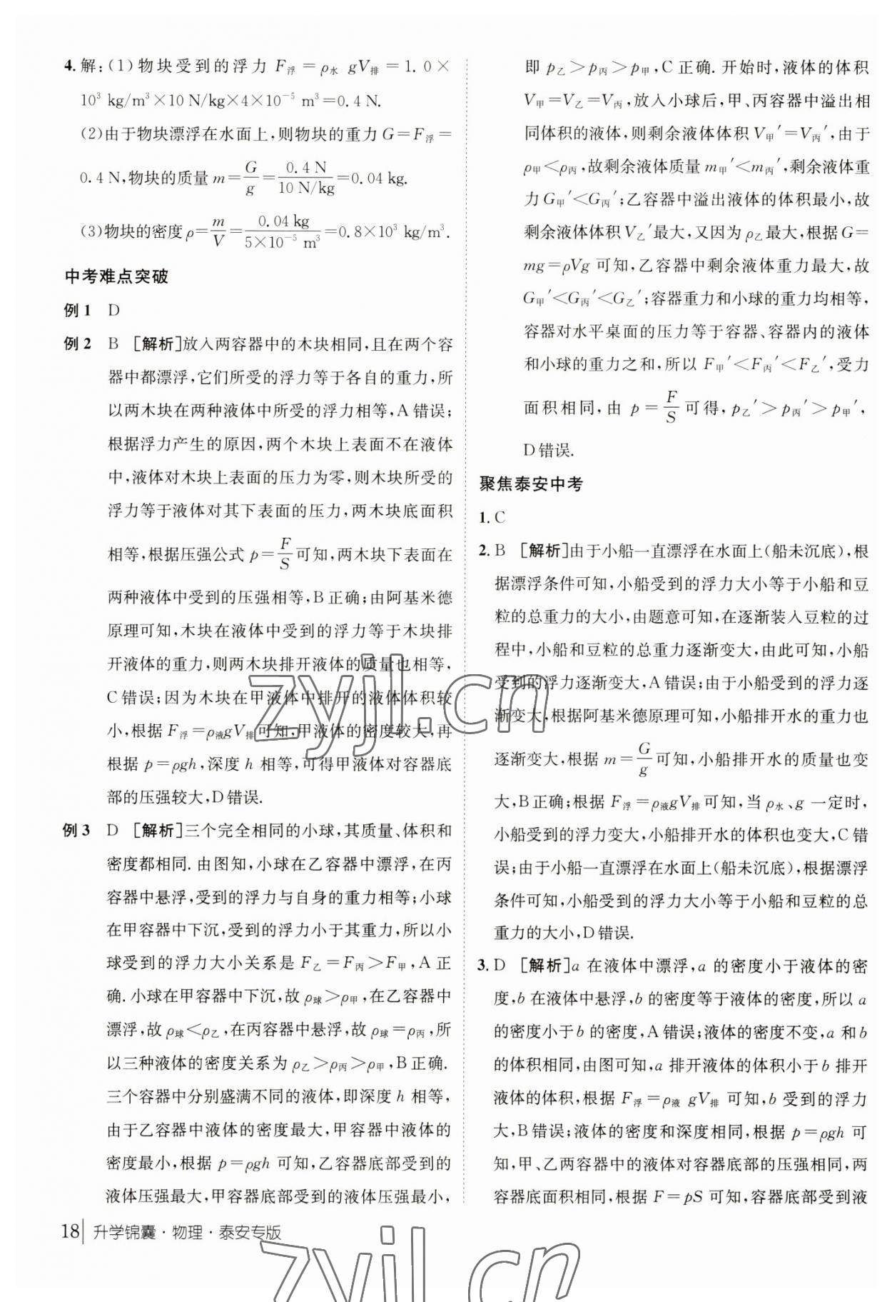 2023年升学锦囊物理泰安专版 参考答案第18页