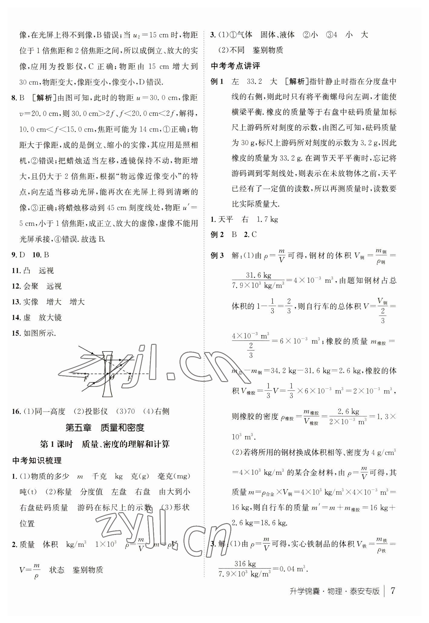 2023年升学锦囊物理泰安专版 参考答案第7页