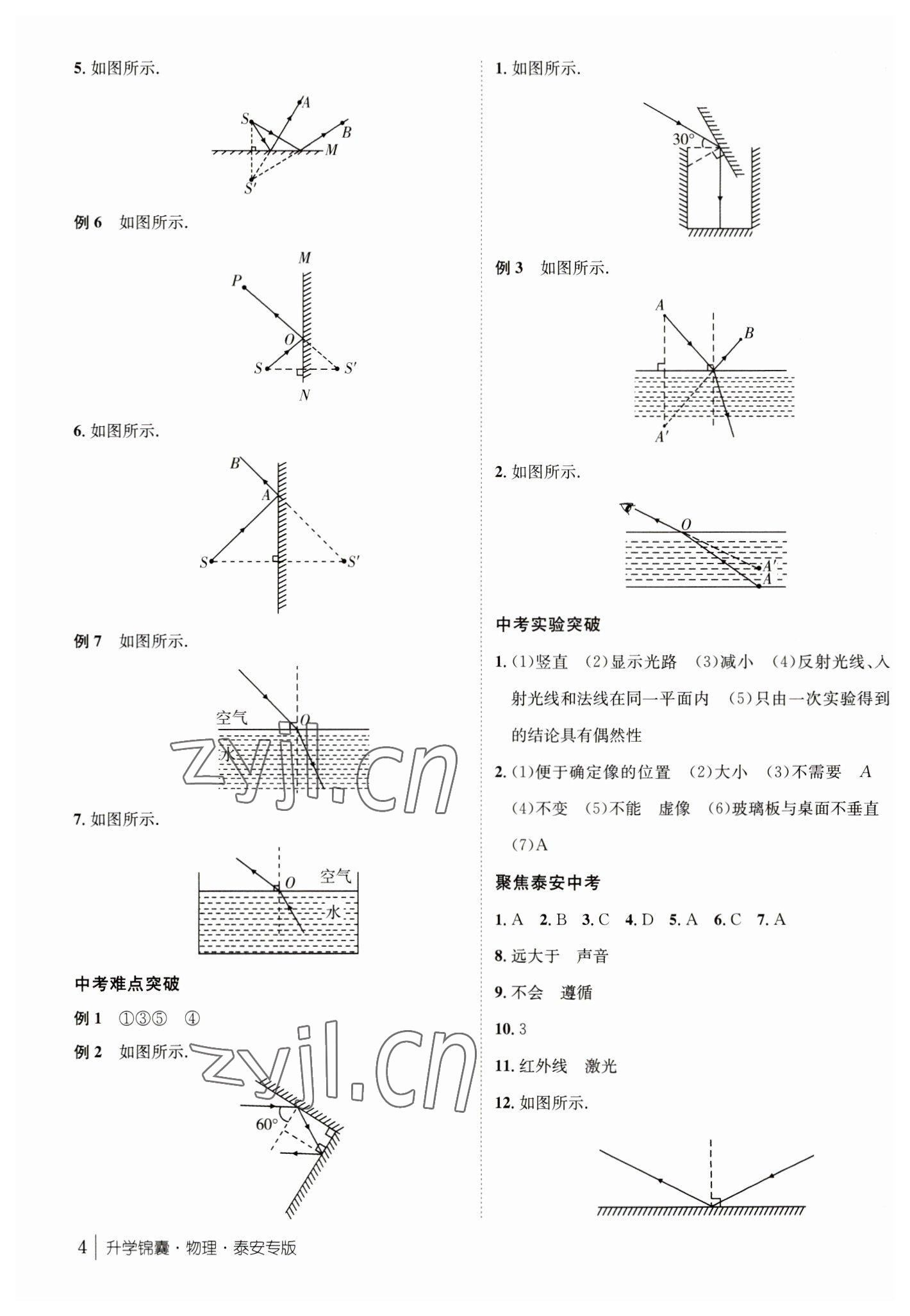 2023年升学锦囊物理泰安专版 参考答案第4页