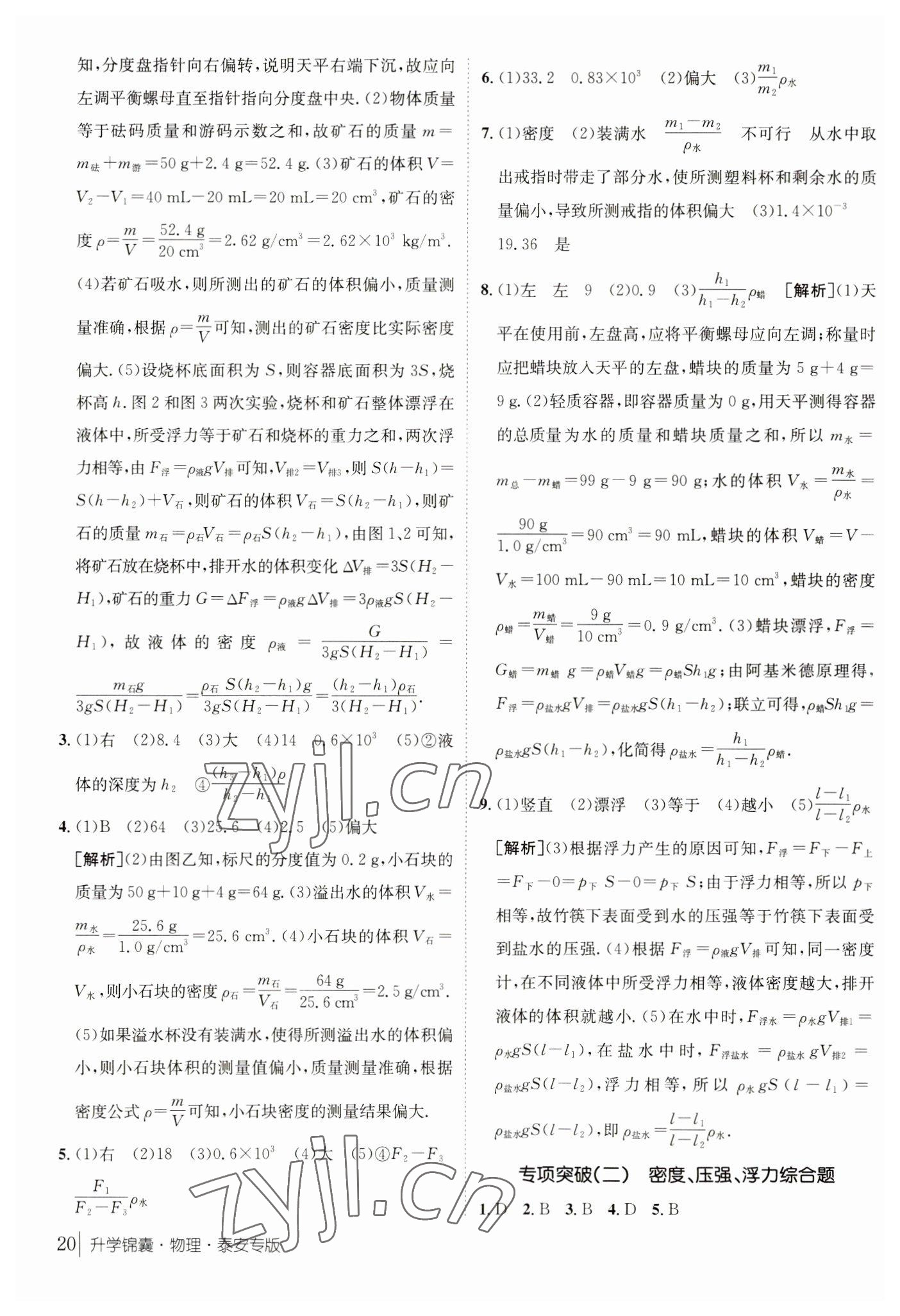 2023年升学锦囊物理泰安专版 参考答案第20页