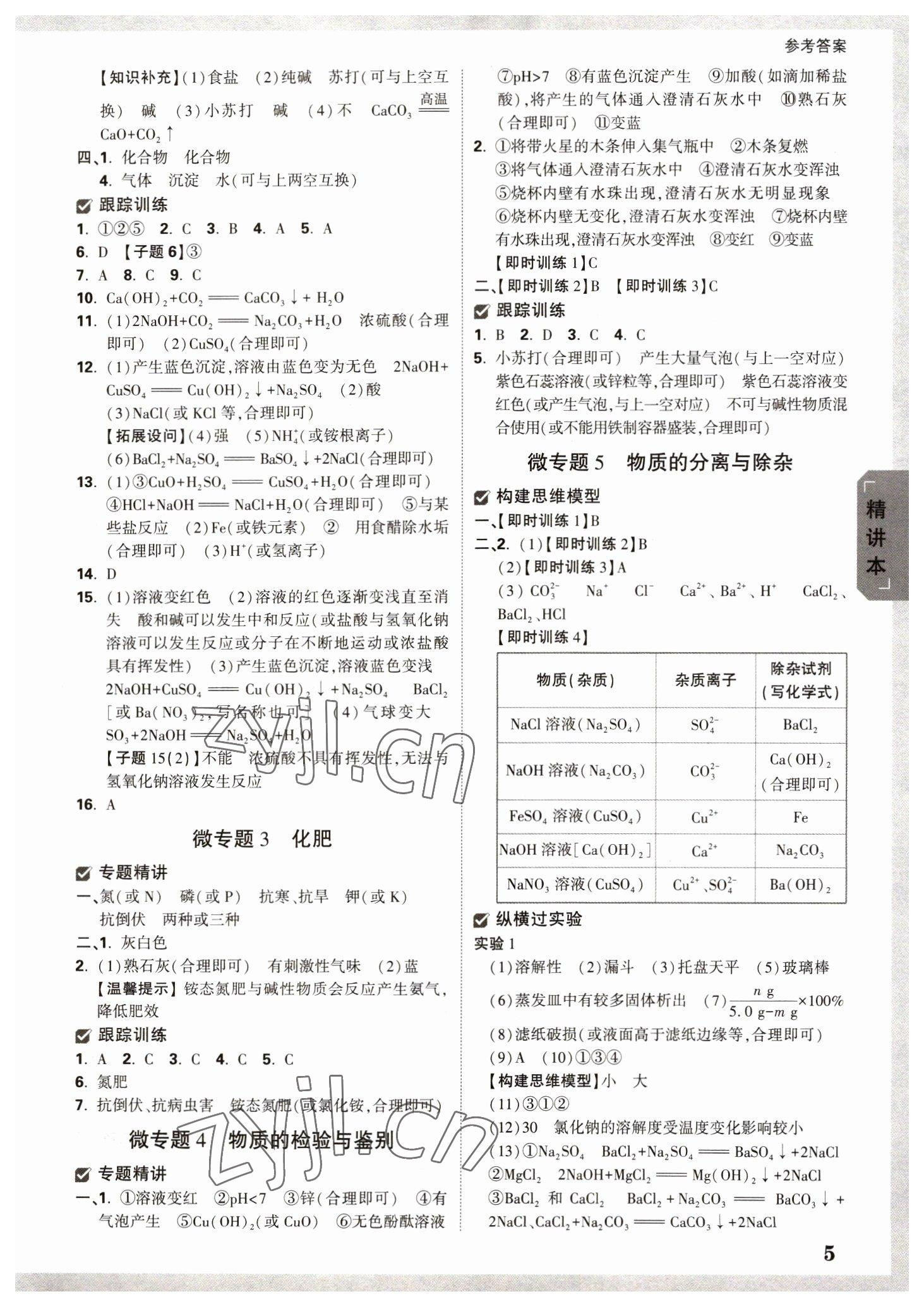 2023年萬唯中考試題研究化學(xué)人教版寧夏專版 參考答案第4頁