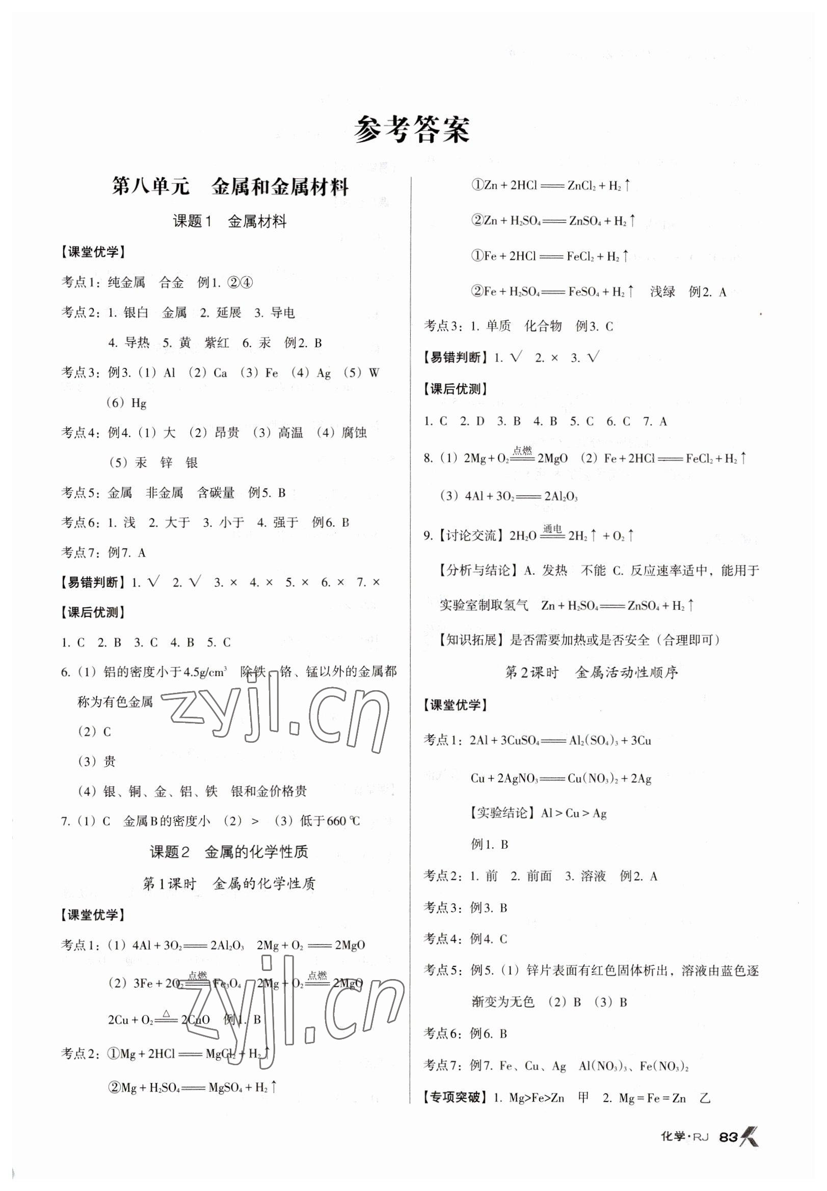 2023年全优点练课计划九年级化学下册人教版 第1页