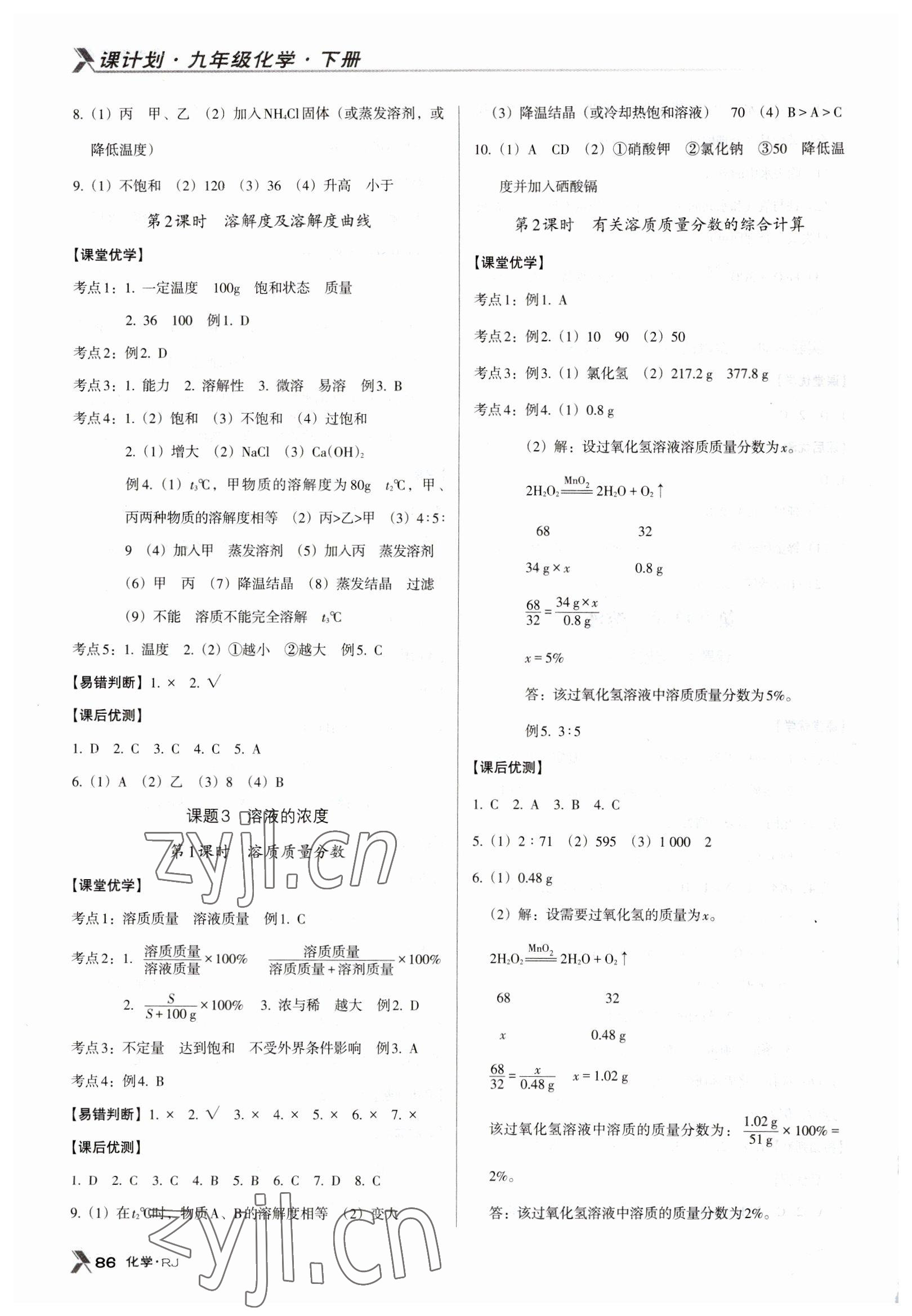 2023年全优点练课计划九年级化学下册人教版 第4页