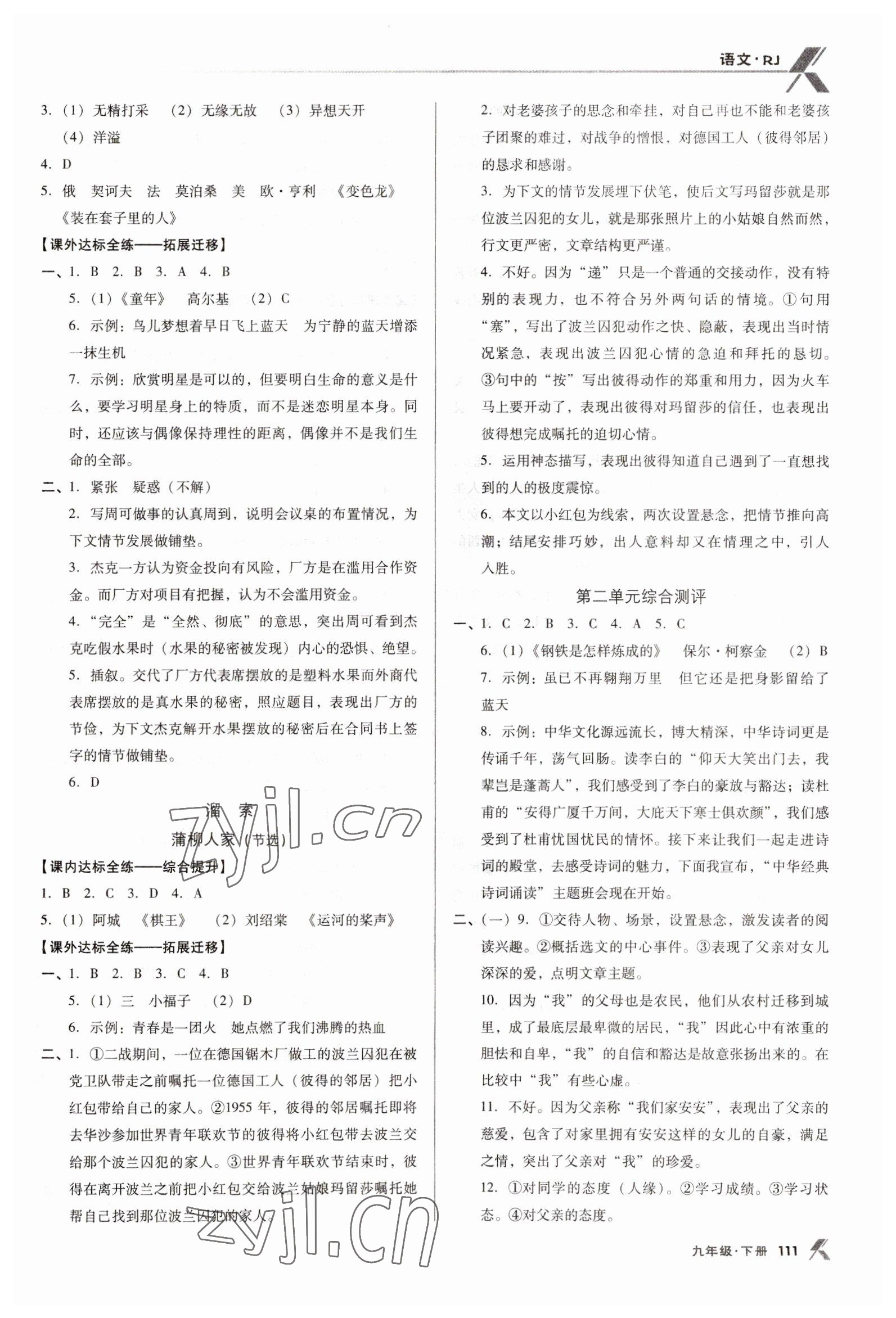 2023年全优点练课计划九年级语文下册人教版 参考答案第3页