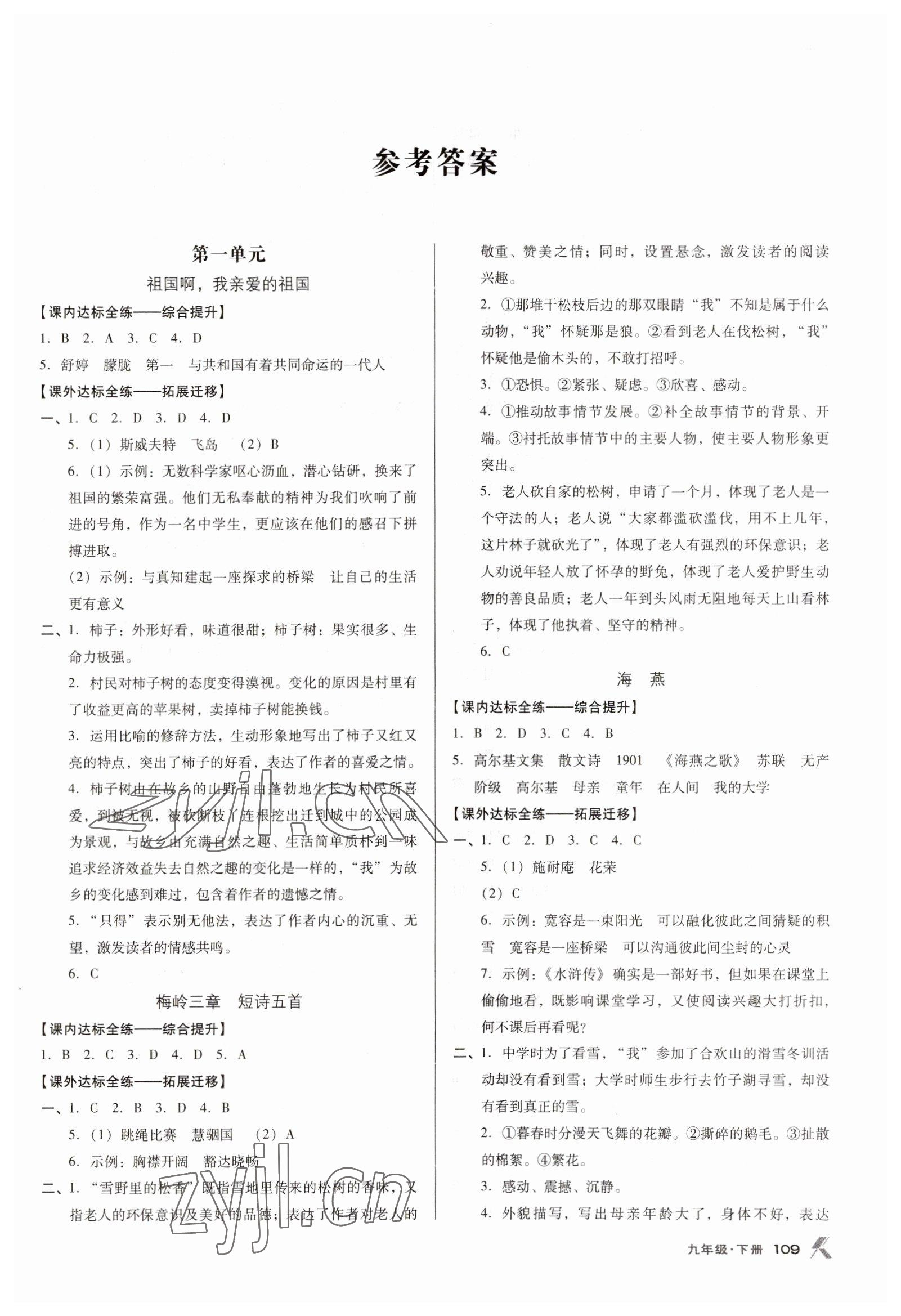 2023年全优点练课计划九年级语文下册人教版 参考答案第1页