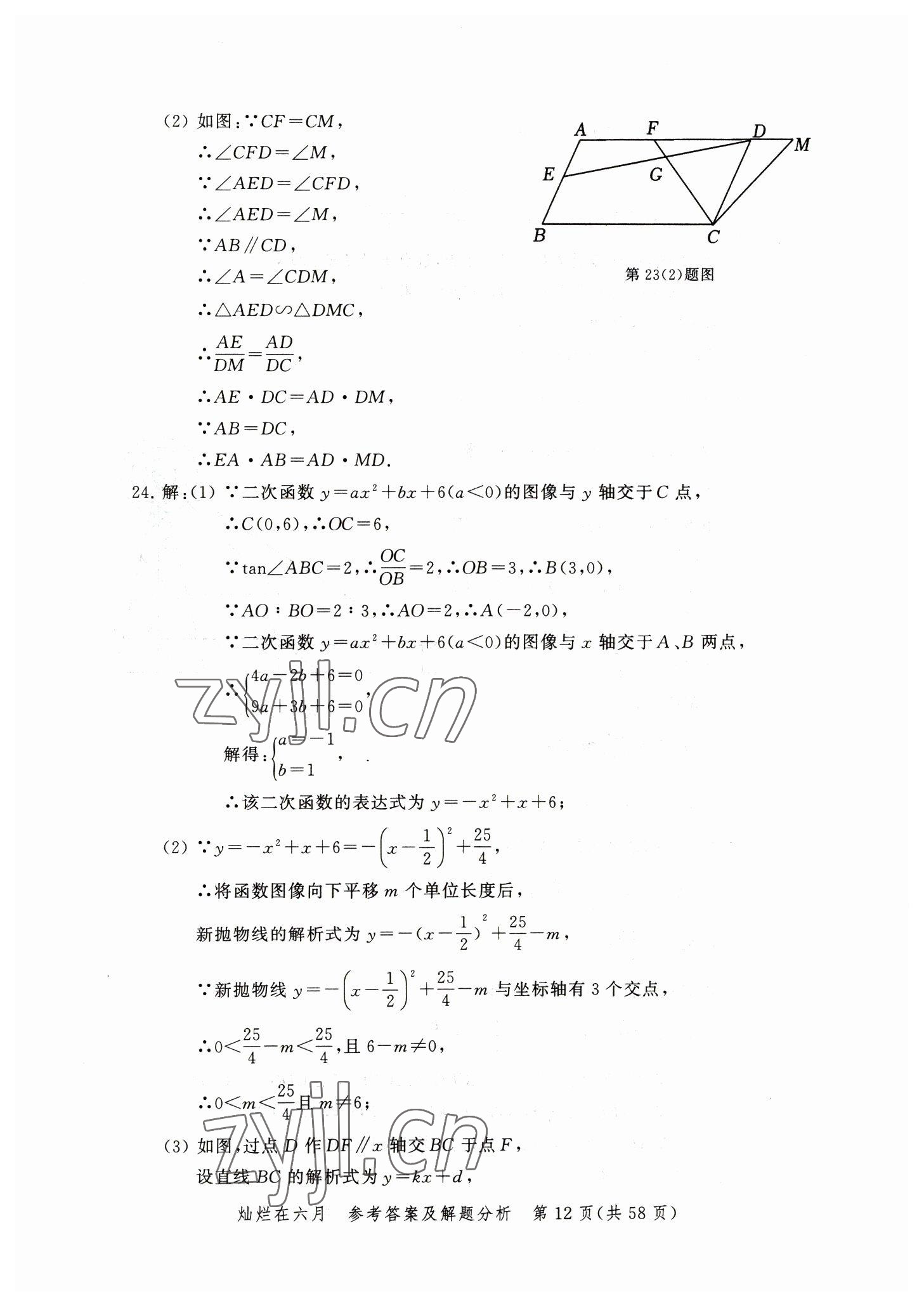 2023年?duì)N爛在六月模擬強(qiáng)化測(cè)試精編數(shù)學(xué) 參考答案第12頁(yè)