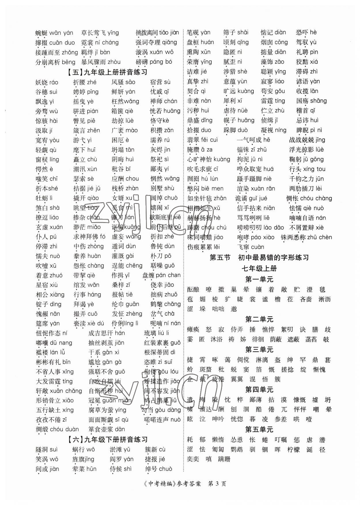 2023年中考精編語文廣東經(jīng)濟(jì)出版社 第3頁