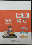 2023年高效精練八年級(jí)物理下冊(cè)蘇科版