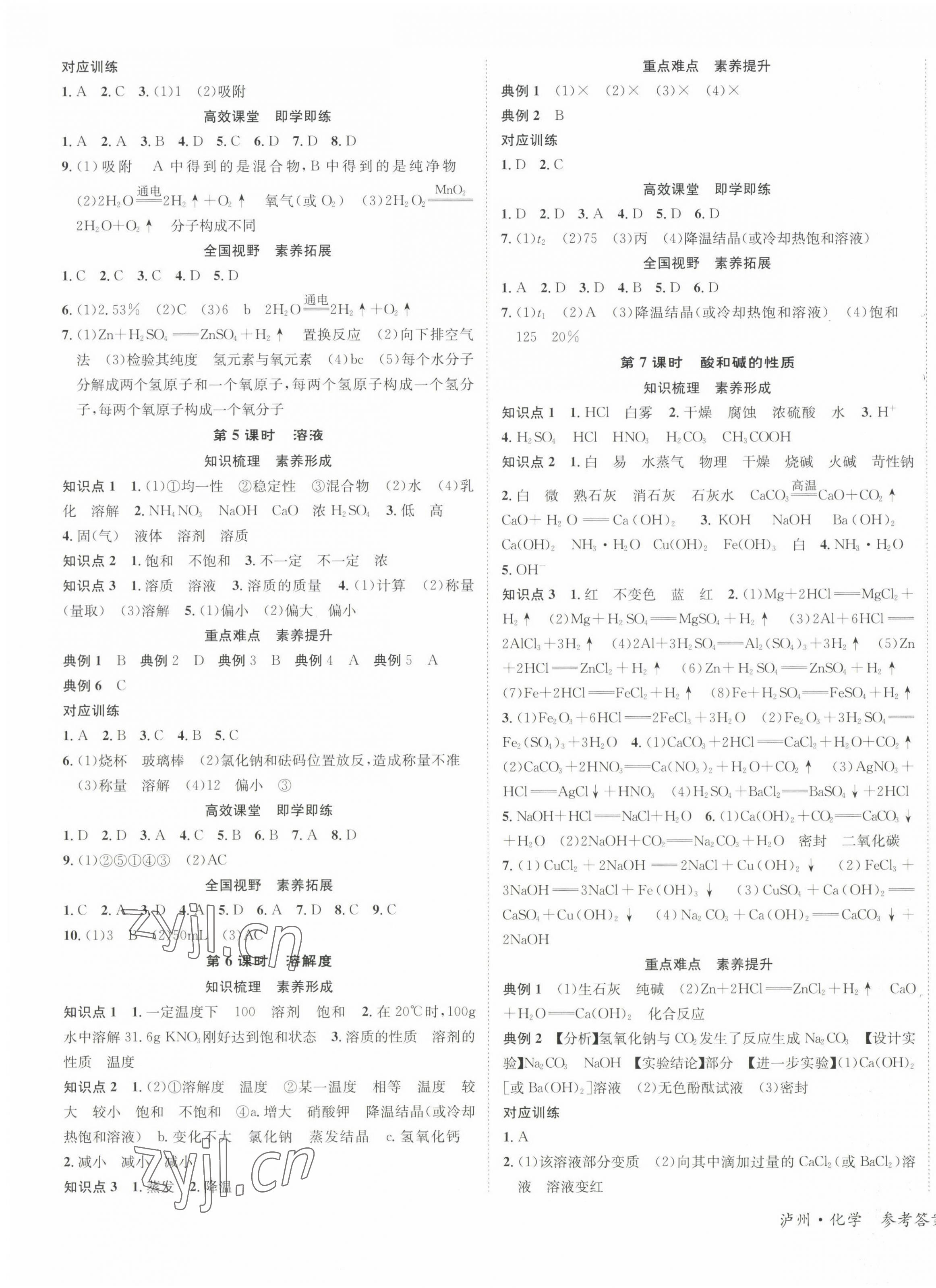 2023年中考复习总动员化学泸州专版 第3页