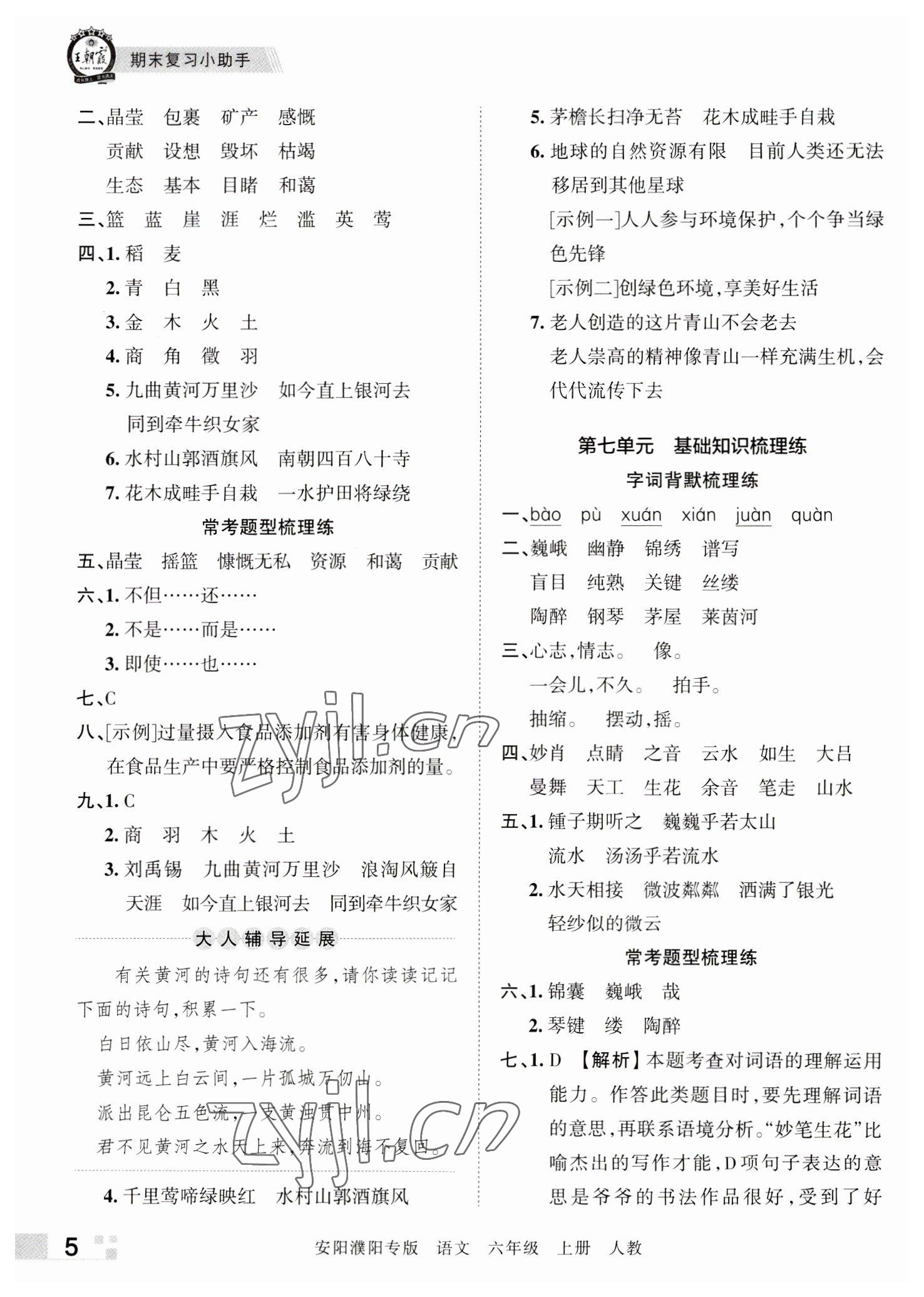 2022年王朝霞期末真题精编六年级语文上册人教版安阳濮阳专版 参考答案第5页