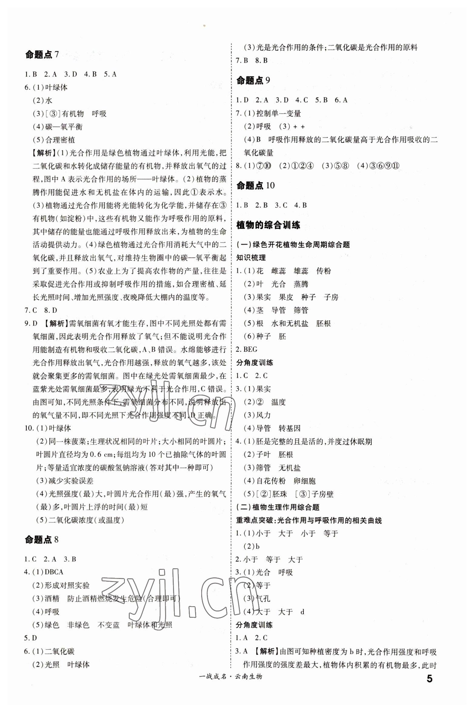 2023年一战成名考前新方案生物云南中考 第5页