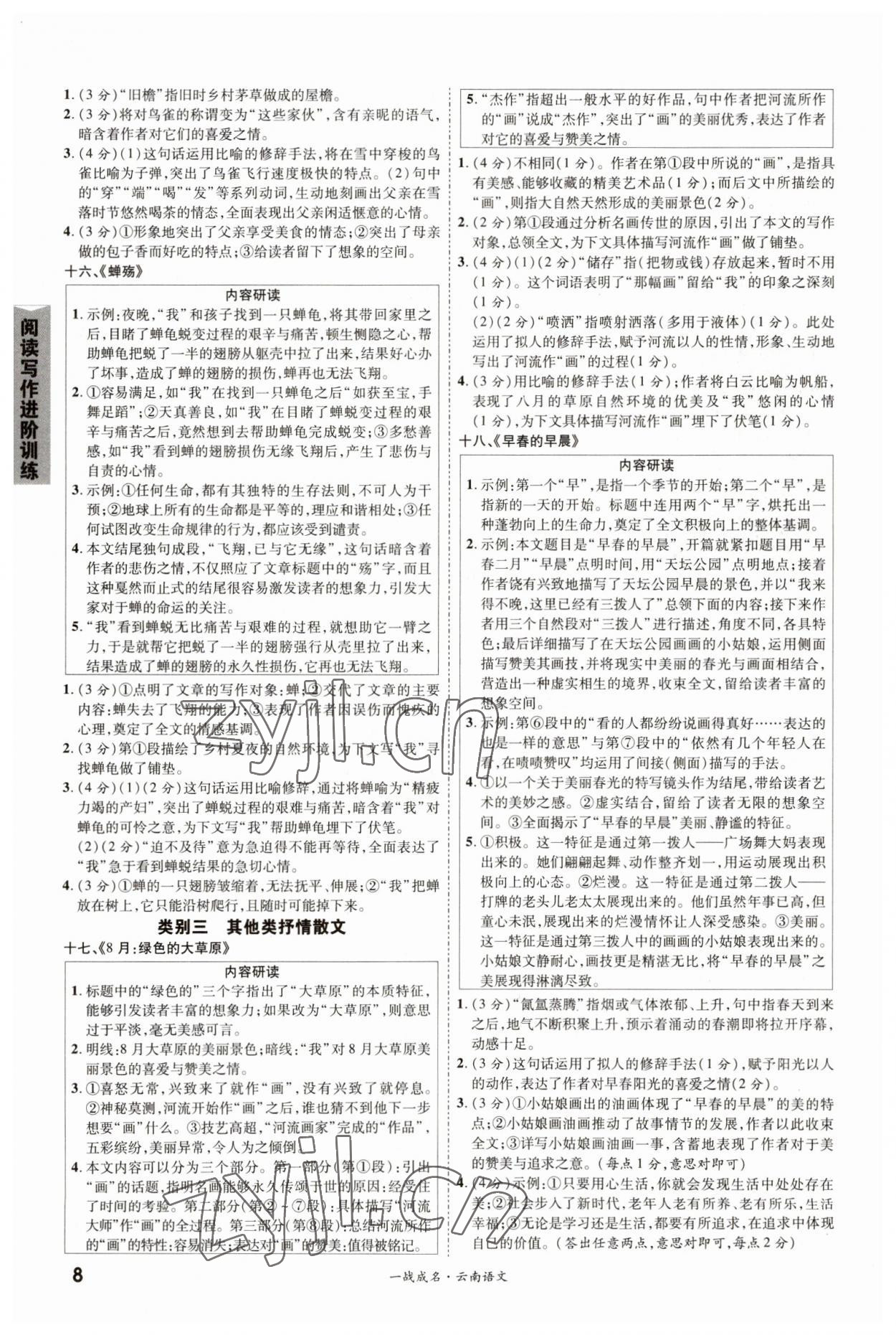 2023年一战成名考前新方案语文中考云南专版 第8页