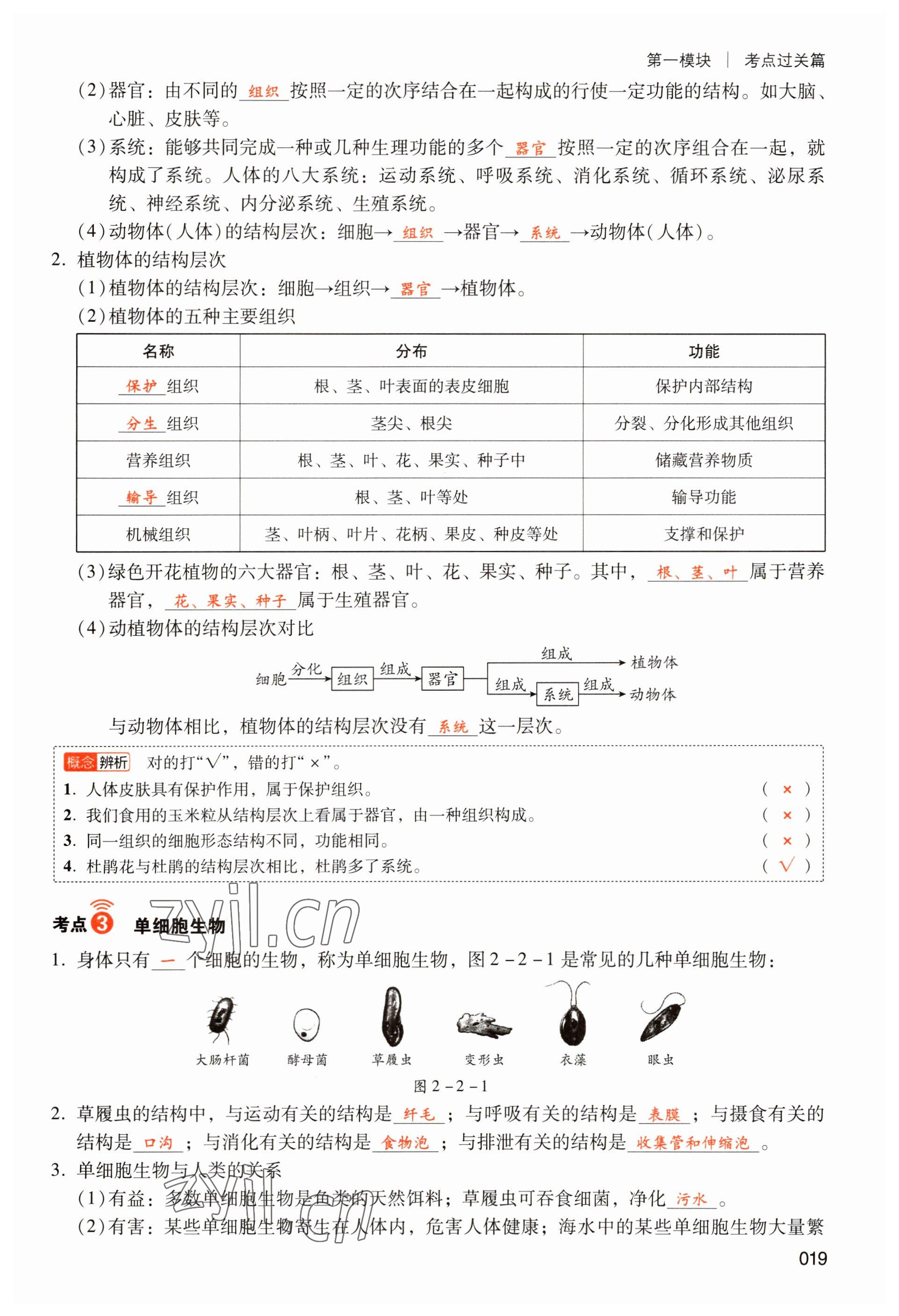 2023年中考狀元生物 參考答案第19頁(yè)