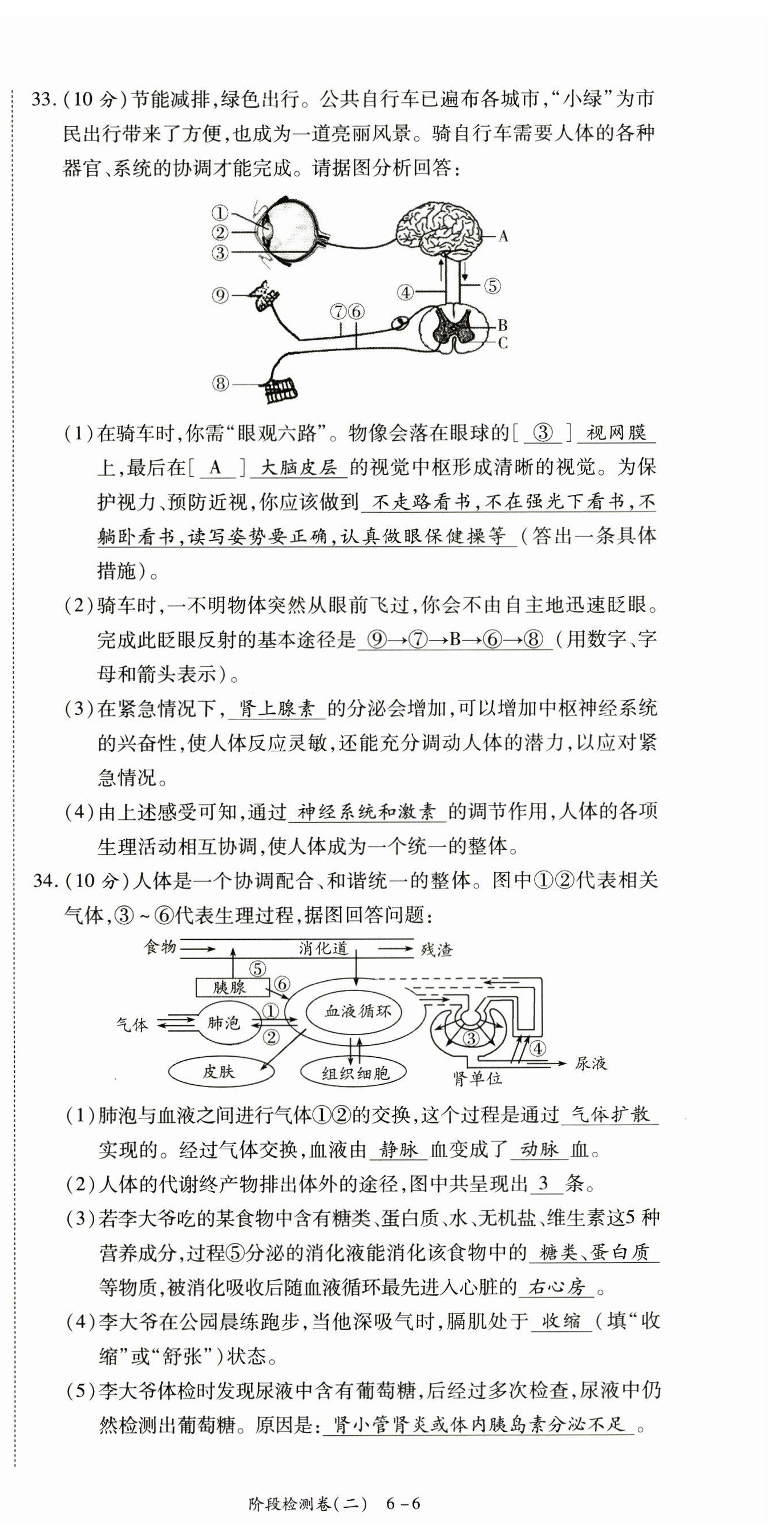 2023年中考狀元生物 第12頁