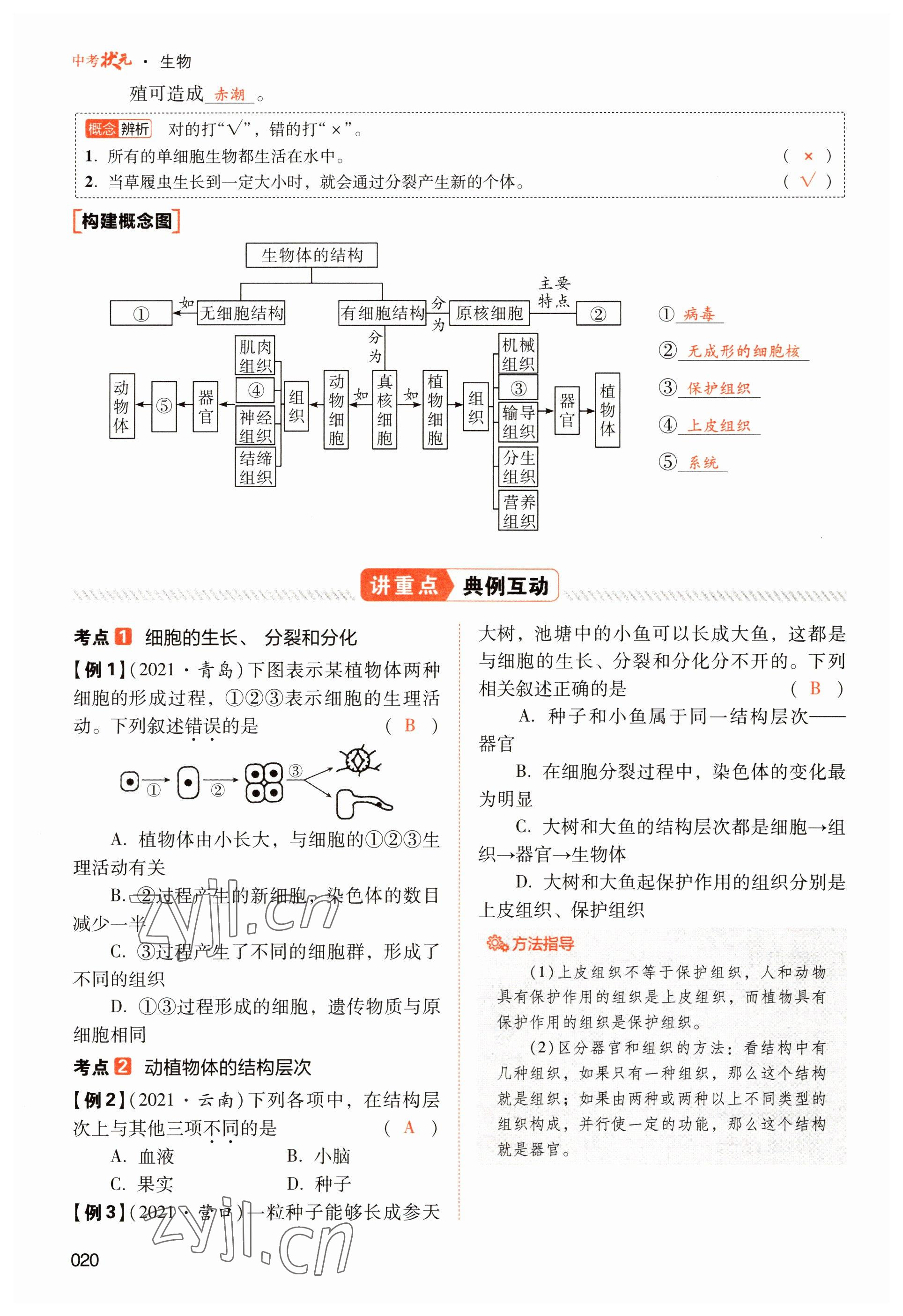 2023年中考狀元生物 參考答案第20頁