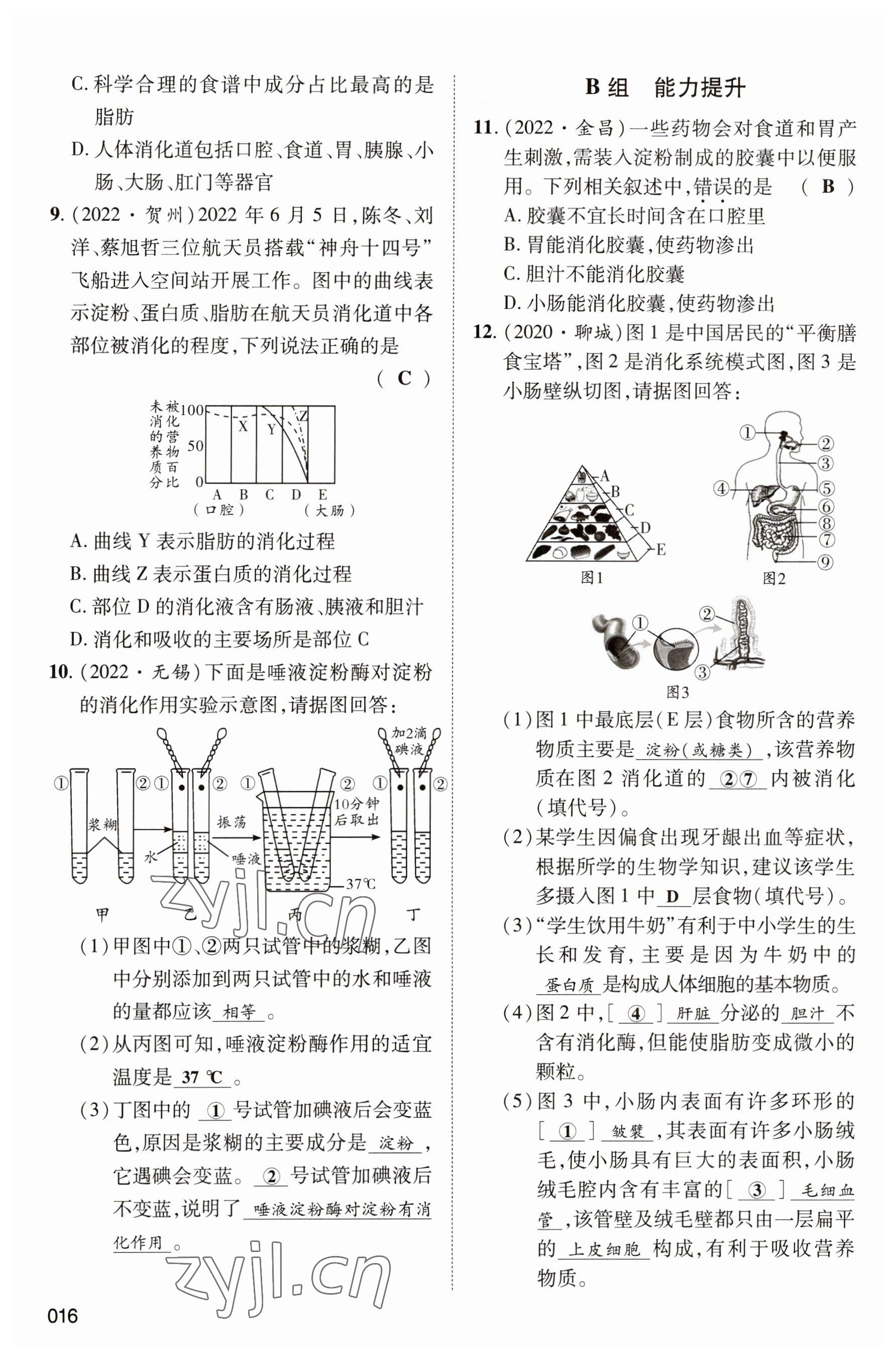 2023年中考狀元生物 參考答案第16頁(yè)