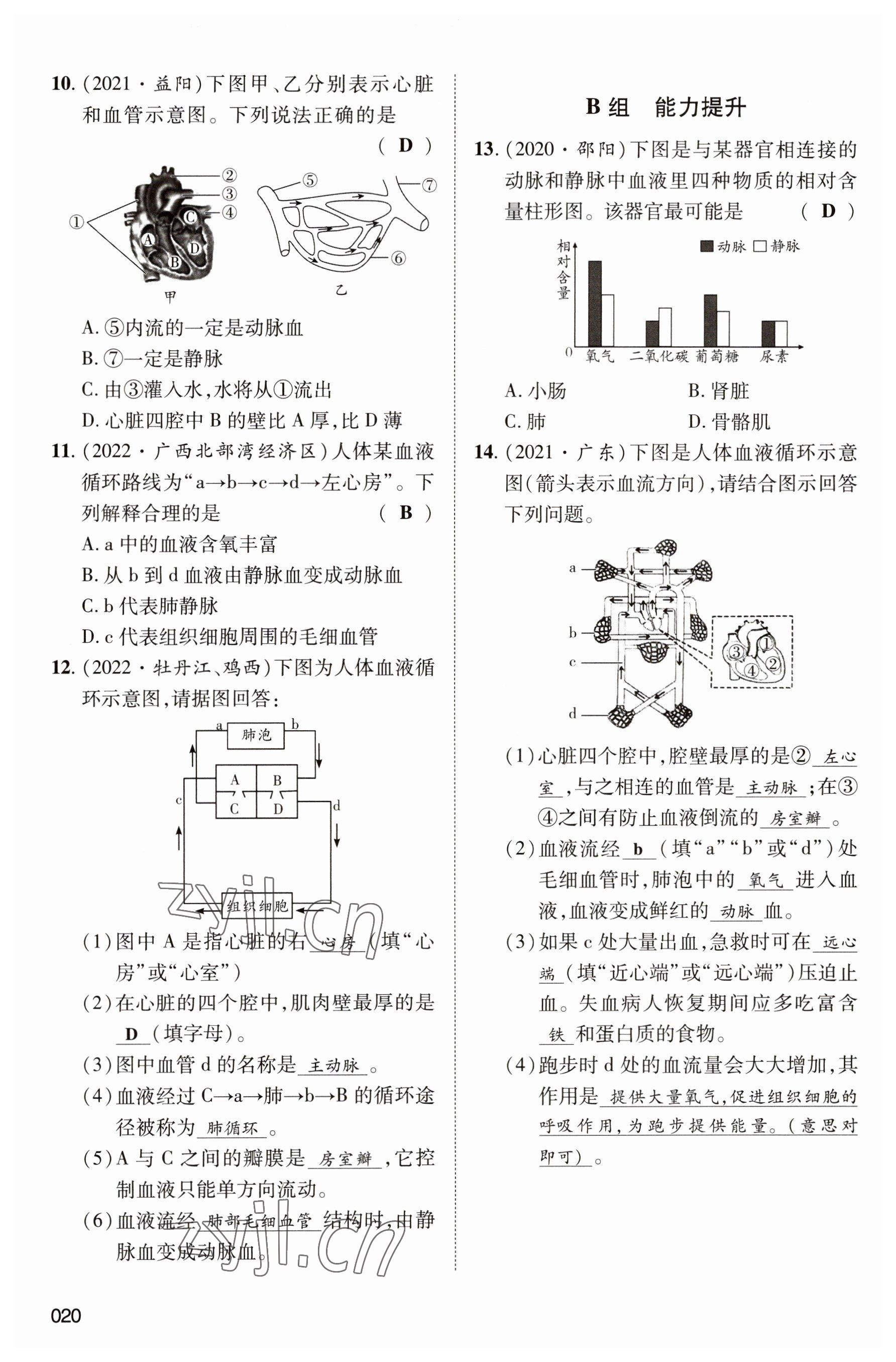 2023年中考状元生物 参考答案第20页