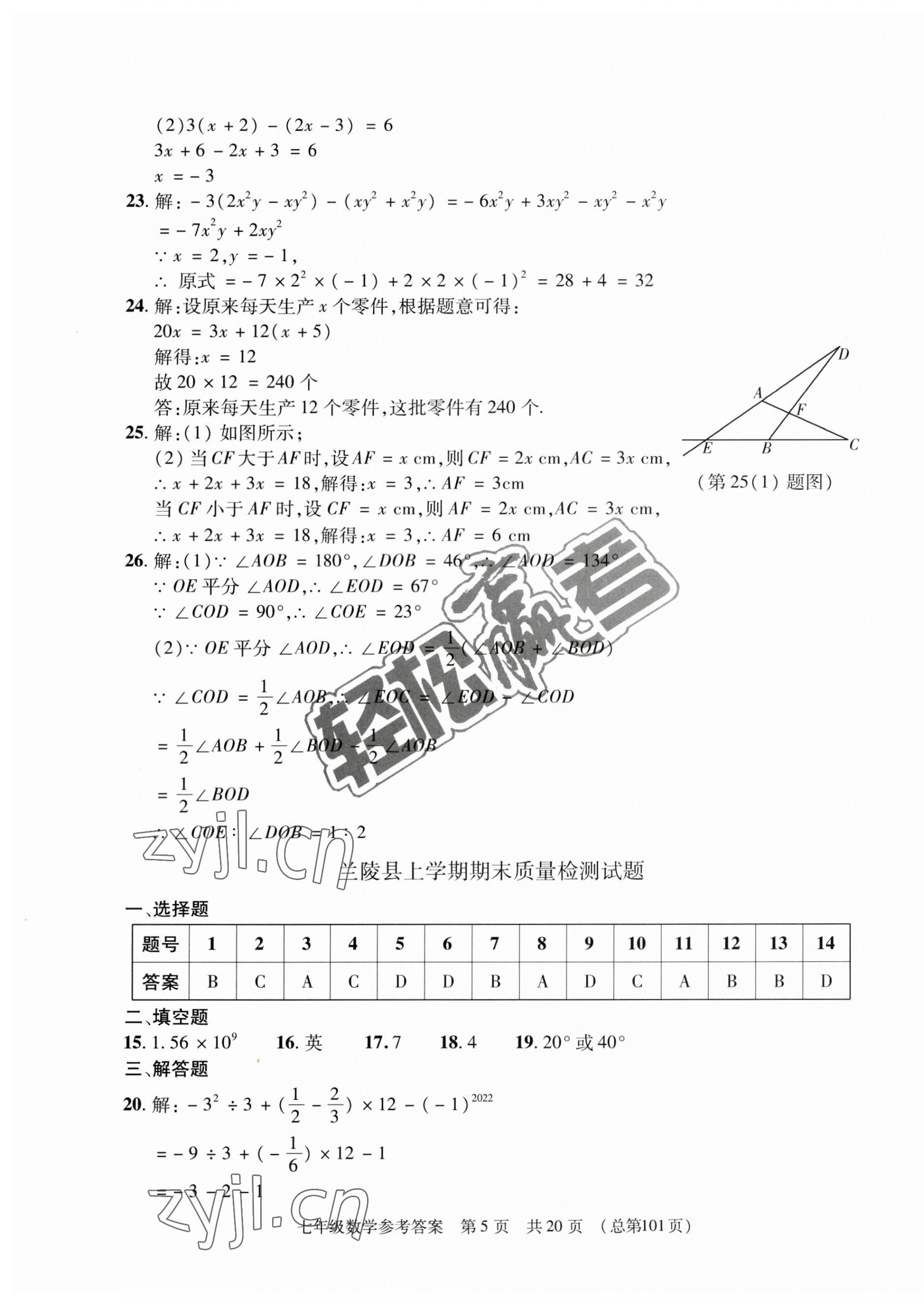 2022年輕松贏考開明出版社七年級(jí)數(shù)學(xué)上冊(cè)人教版臨沂專版 第5頁