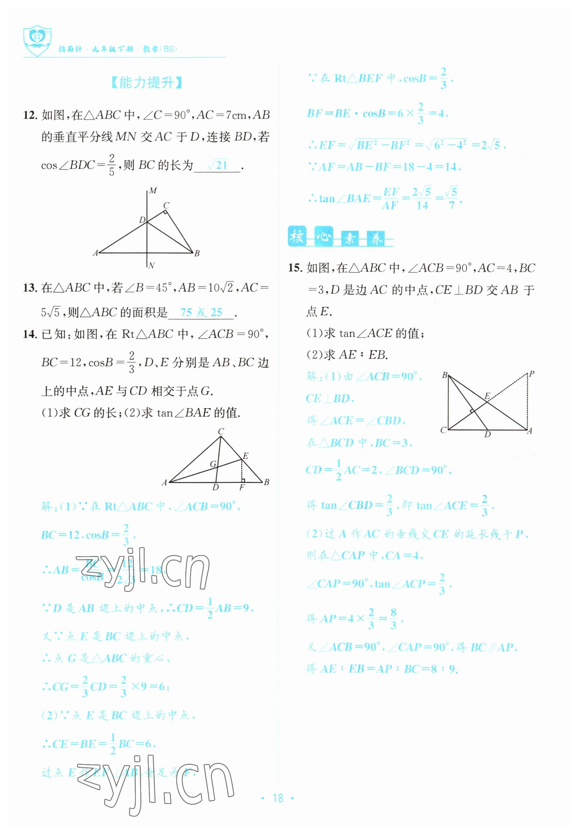 2023年指南针导学探究九年级数学下册北师大版 参考答案第18页