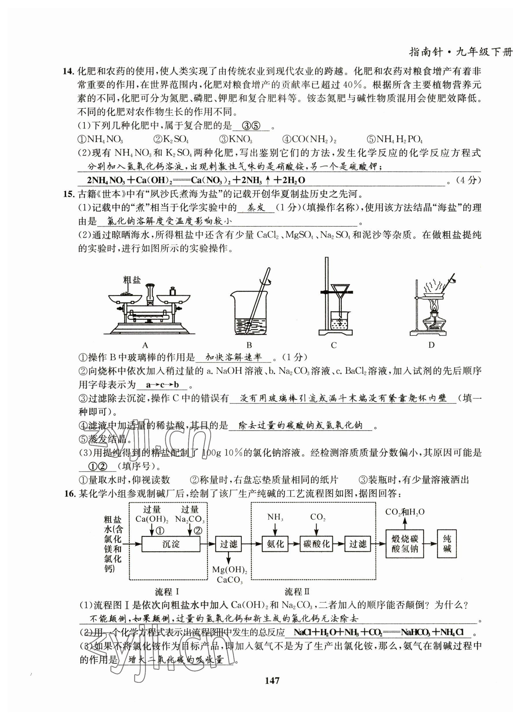 2023年指南针导学探究九年级化学下册人教版 第15页