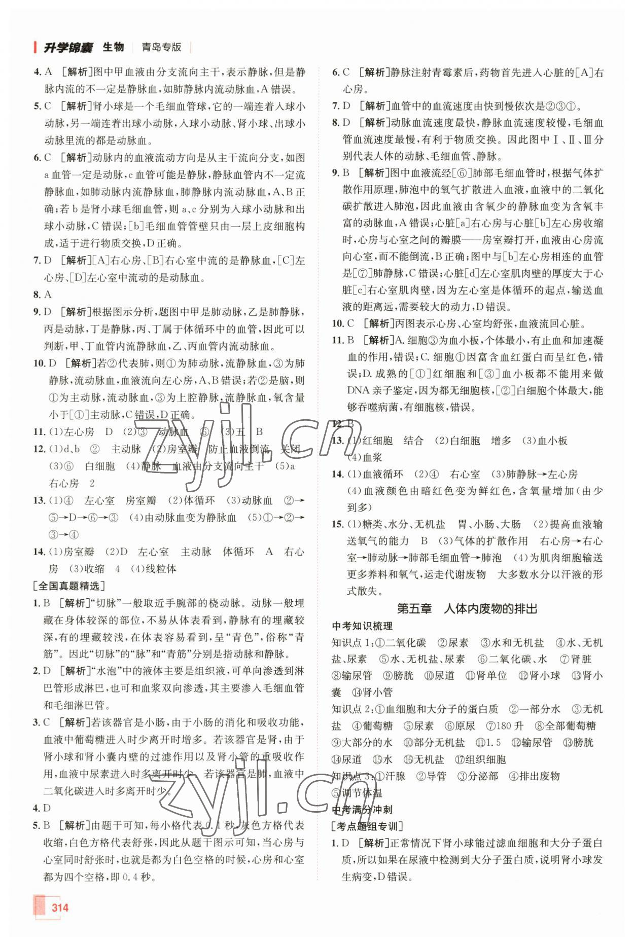 2023年升学锦囊生物青岛专版 参考答案第14页