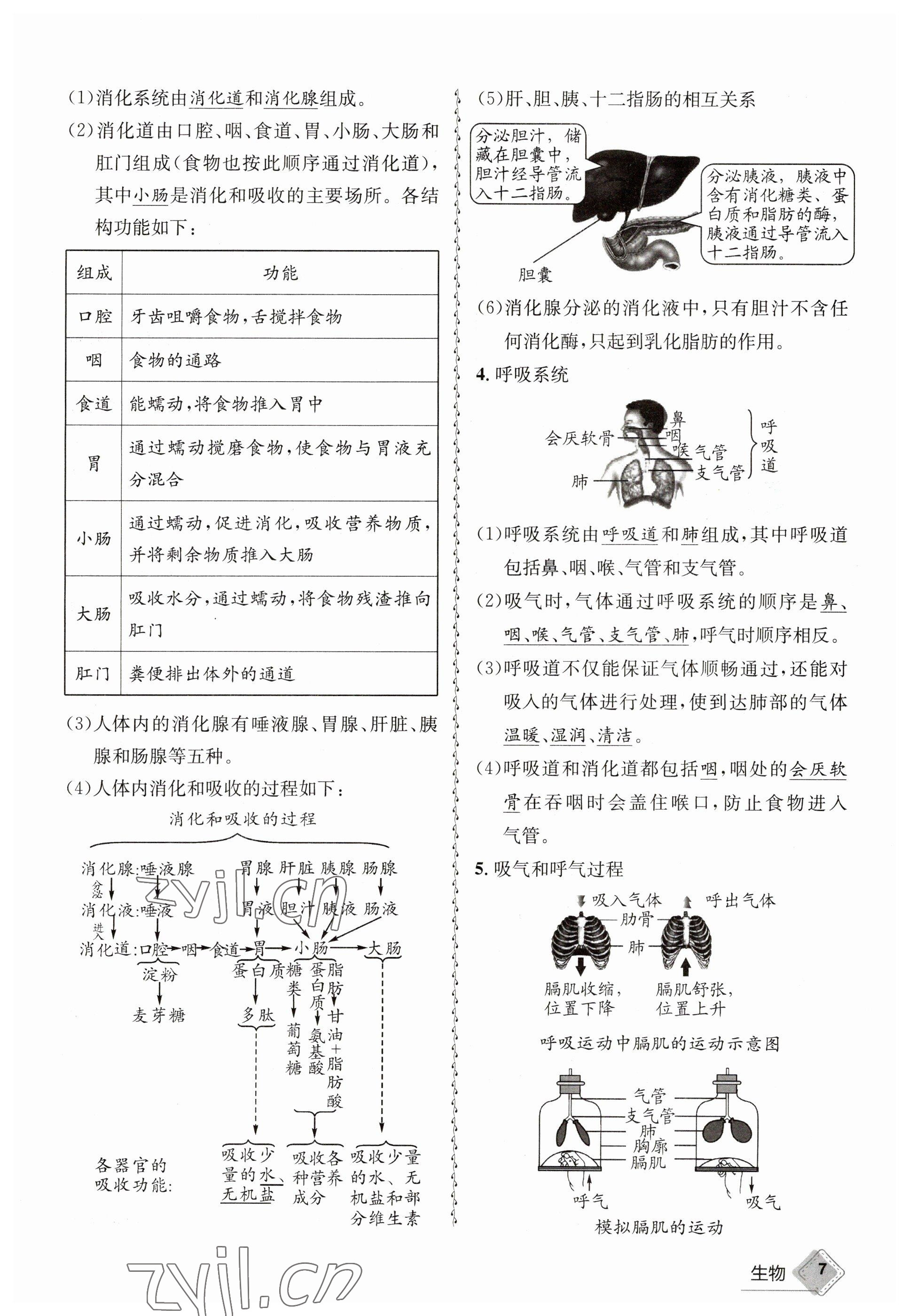 2023年天府教與學中考復習與訓練生物 參考答案第7頁