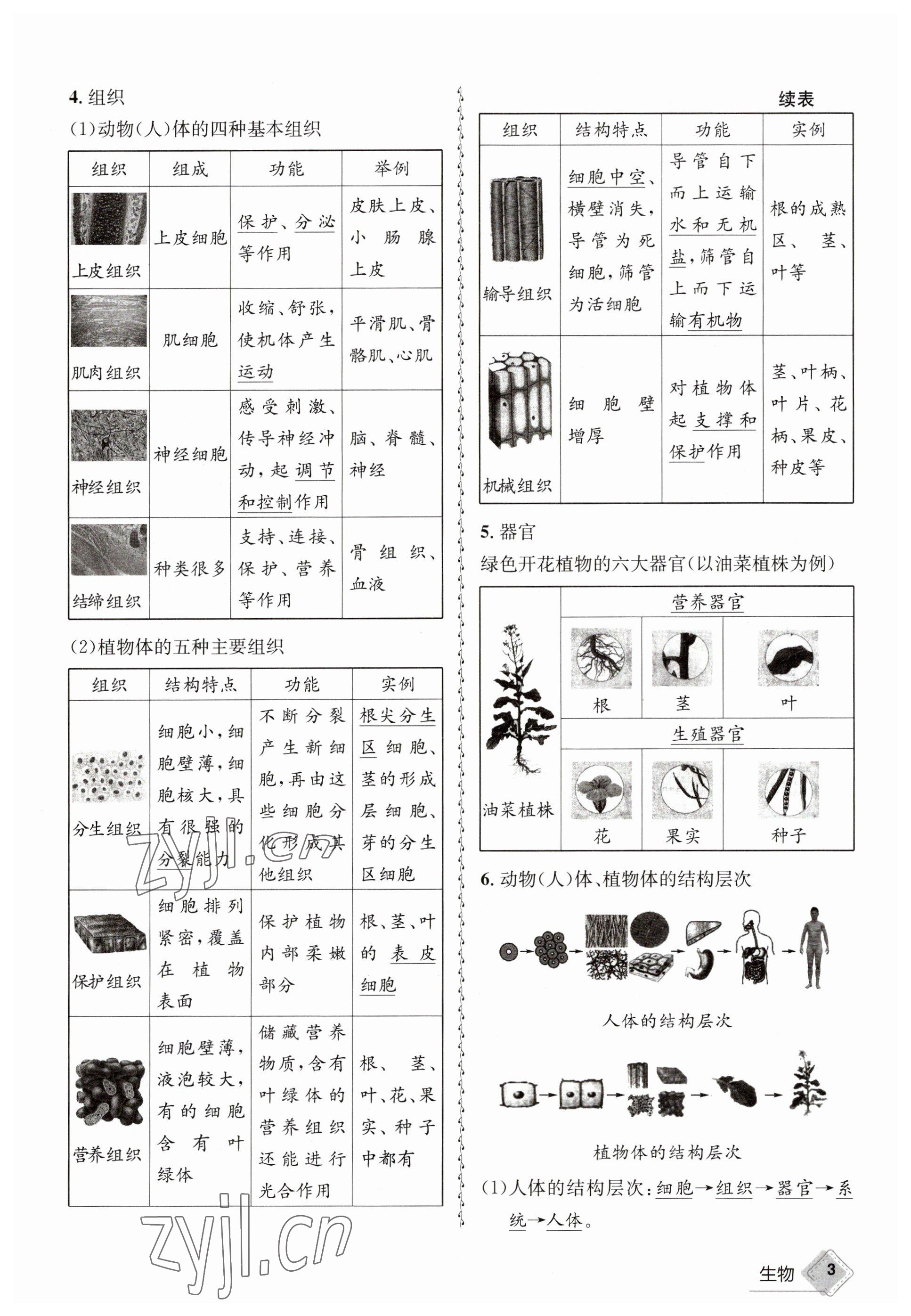 2023年天府教與學(xué)中考復(fù)習(xí)與訓(xùn)練生物 參考答案第3頁(yè)