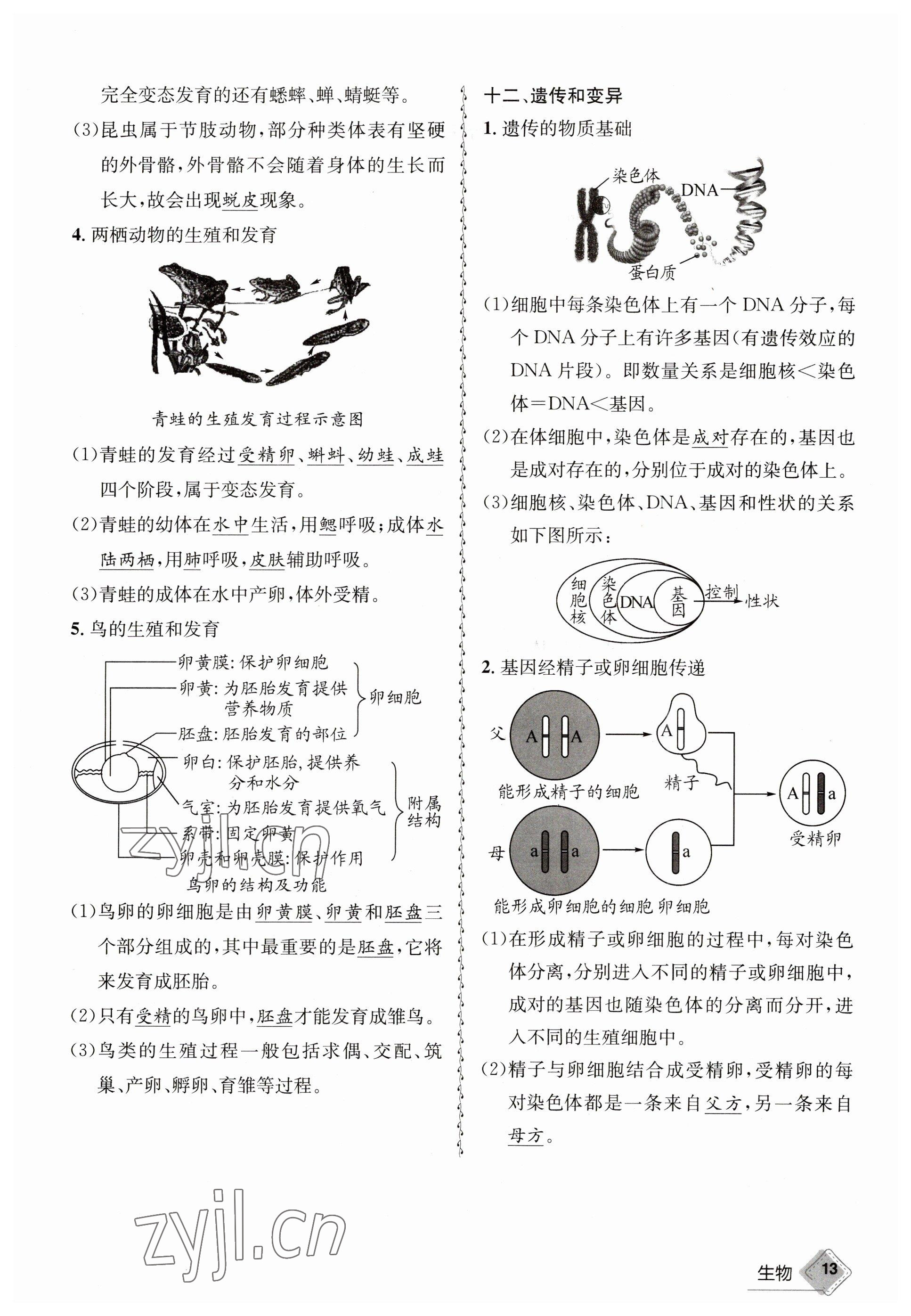 2023年天府教與學中考復習與訓練生物 參考答案第13頁