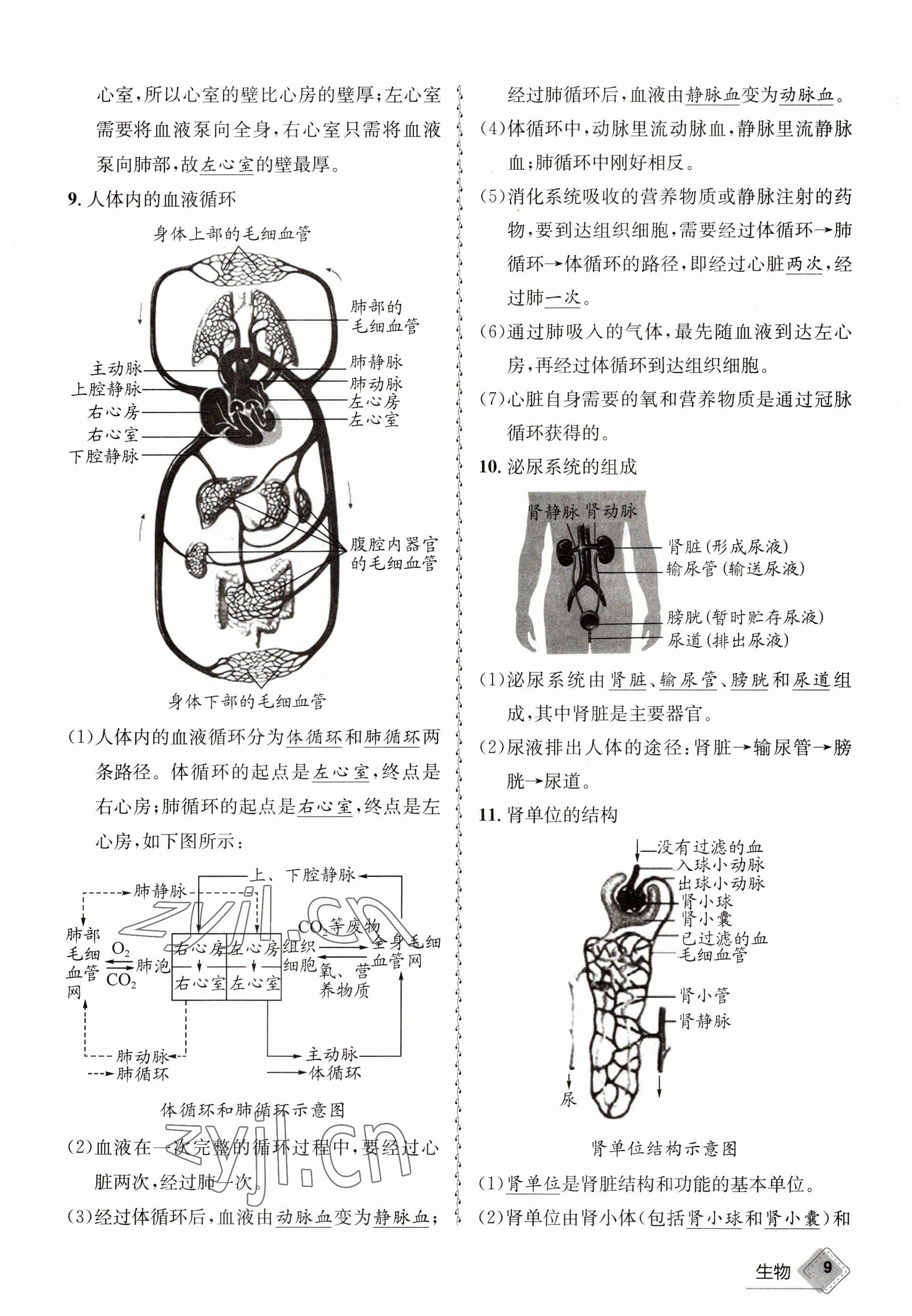 2023年天府教與學(xué)中考復(fù)習(xí)與訓(xùn)練生物 參考答案第9頁(yè)