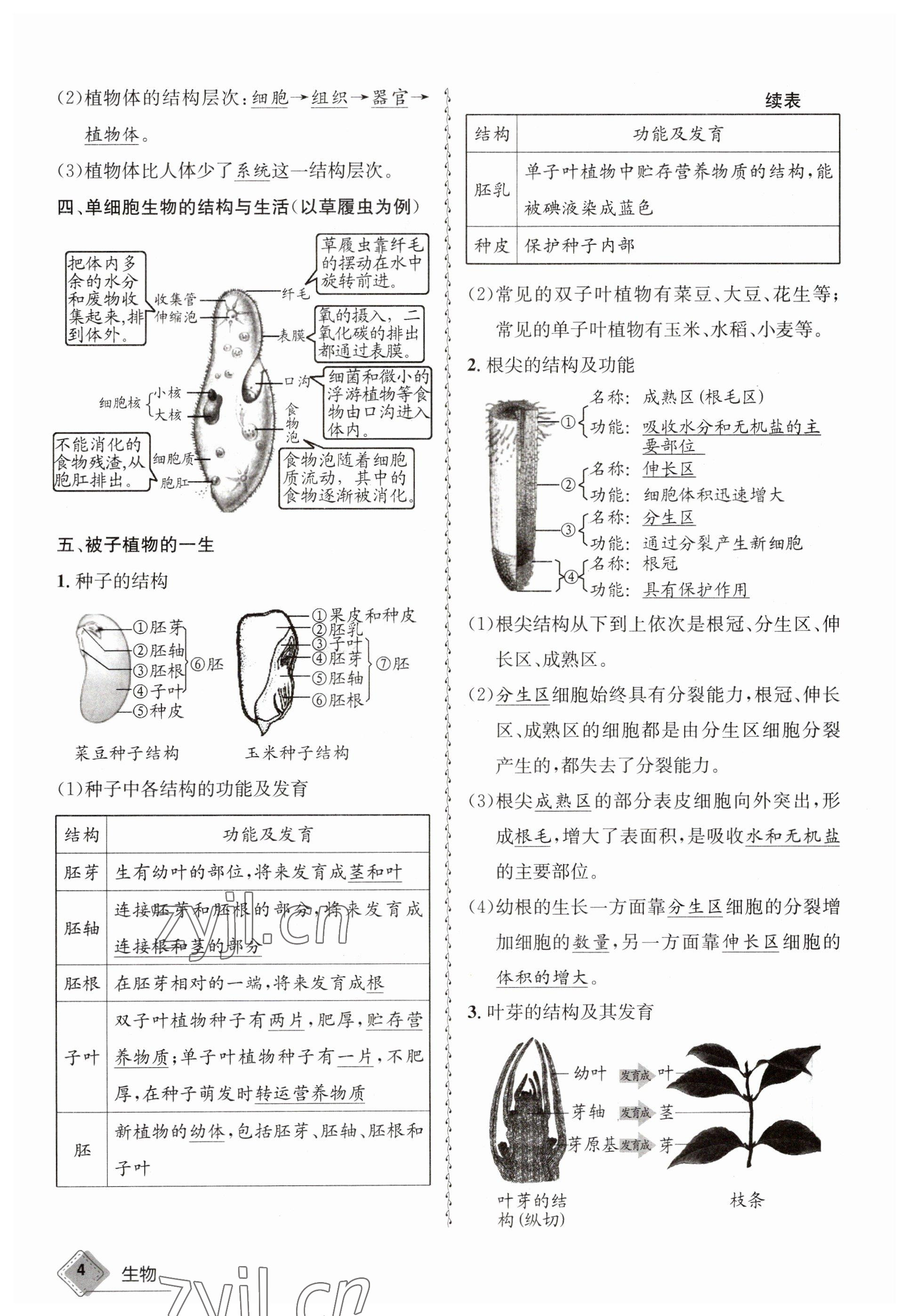 2023年天府教與學(xué)中考復(fù)習(xí)與訓(xùn)練生物 參考答案第4頁