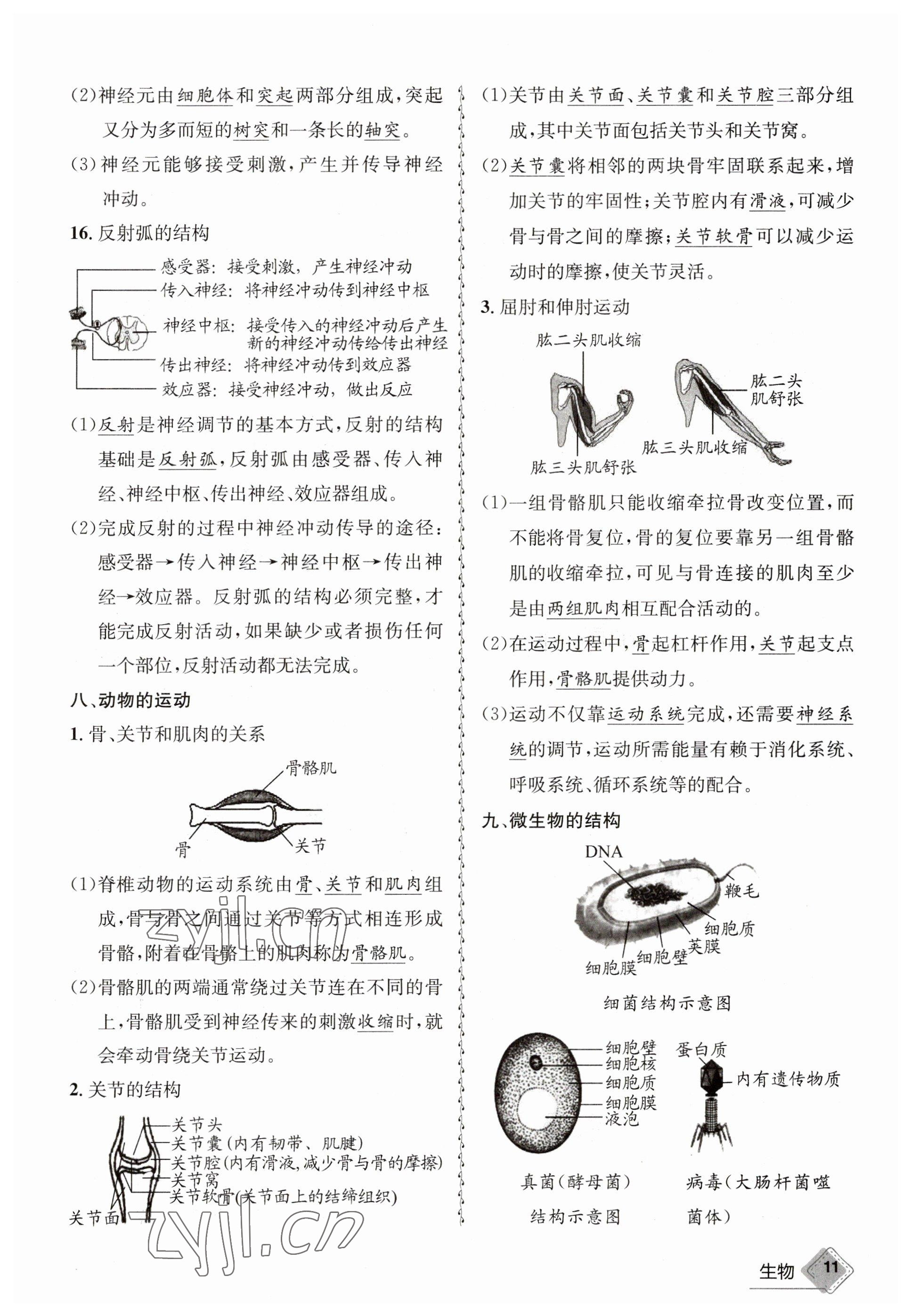 2023年天府教與學(xué)中考復(fù)習(xí)與訓(xùn)練生物 參考答案第11頁