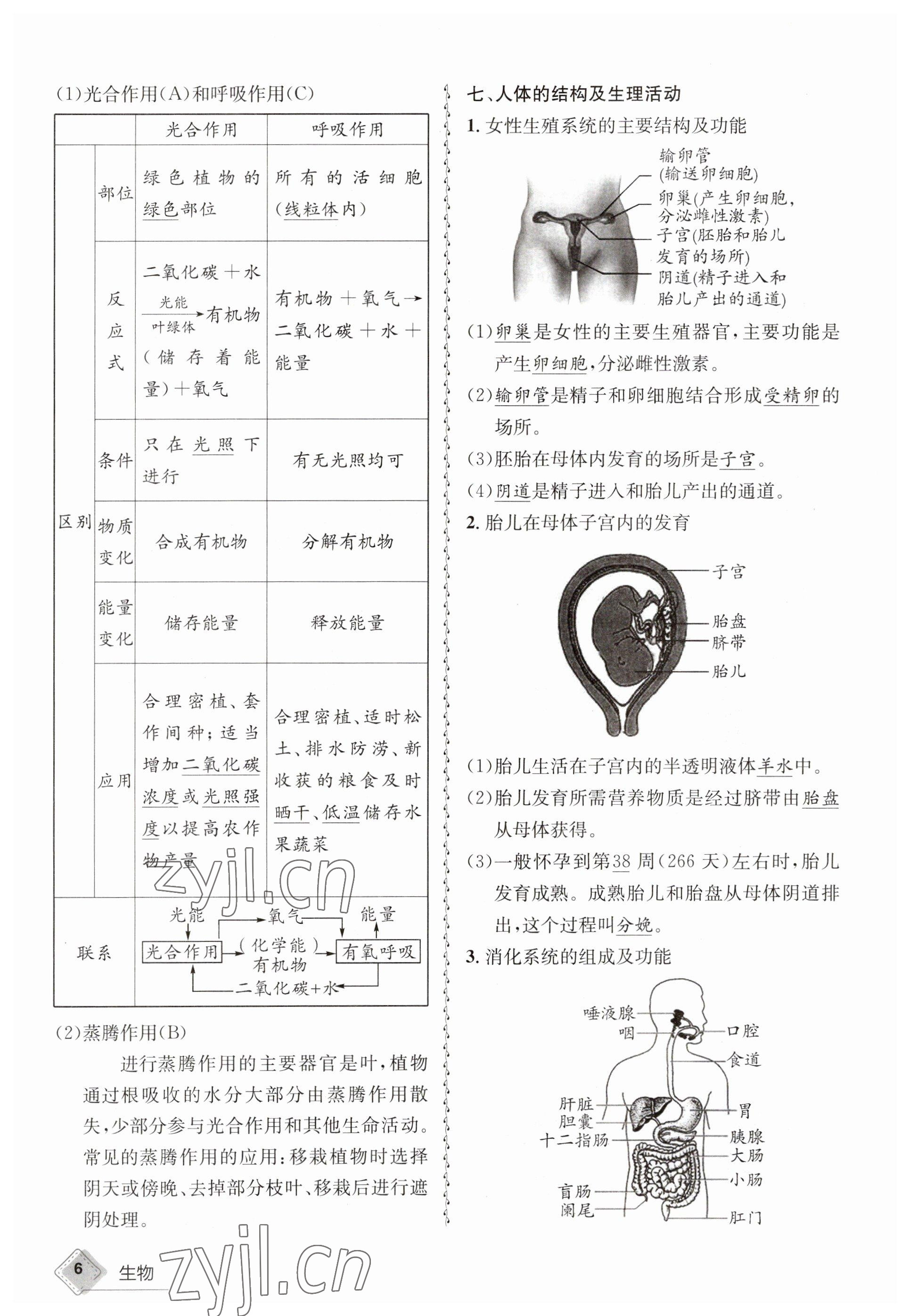 2023年天府教與學(xué)中考復(fù)習(xí)與訓(xùn)練生物 參考答案第6頁