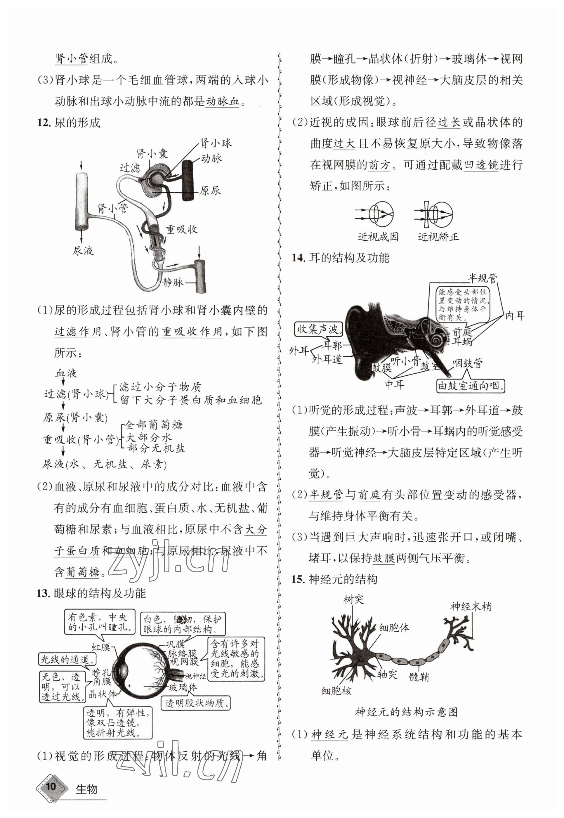 2023年天府教與學(xué)中考復(fù)習(xí)與訓(xùn)練生物 參考答案第10頁