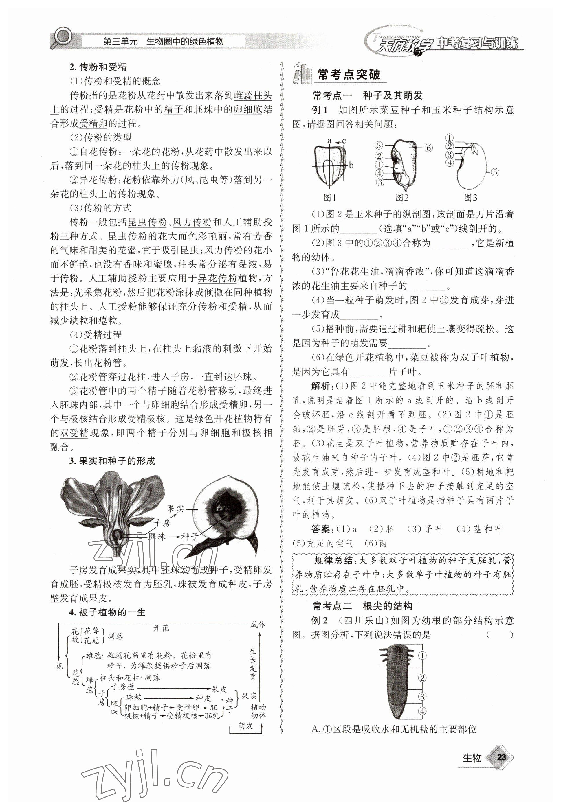 2023年天府教與學(xué)中考復(fù)習(xí)與訓(xùn)練生物 參考答案第23頁