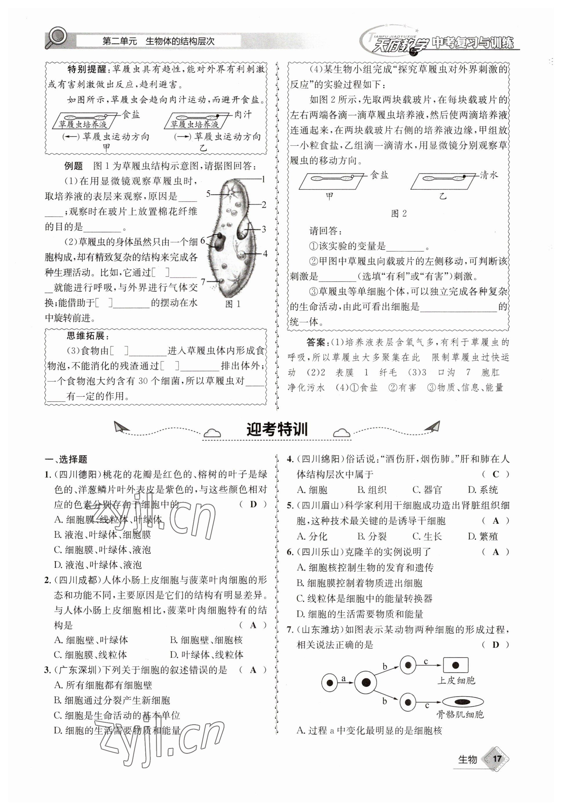 2023年天府教與學中考復習與訓練生物 參考答案第17頁