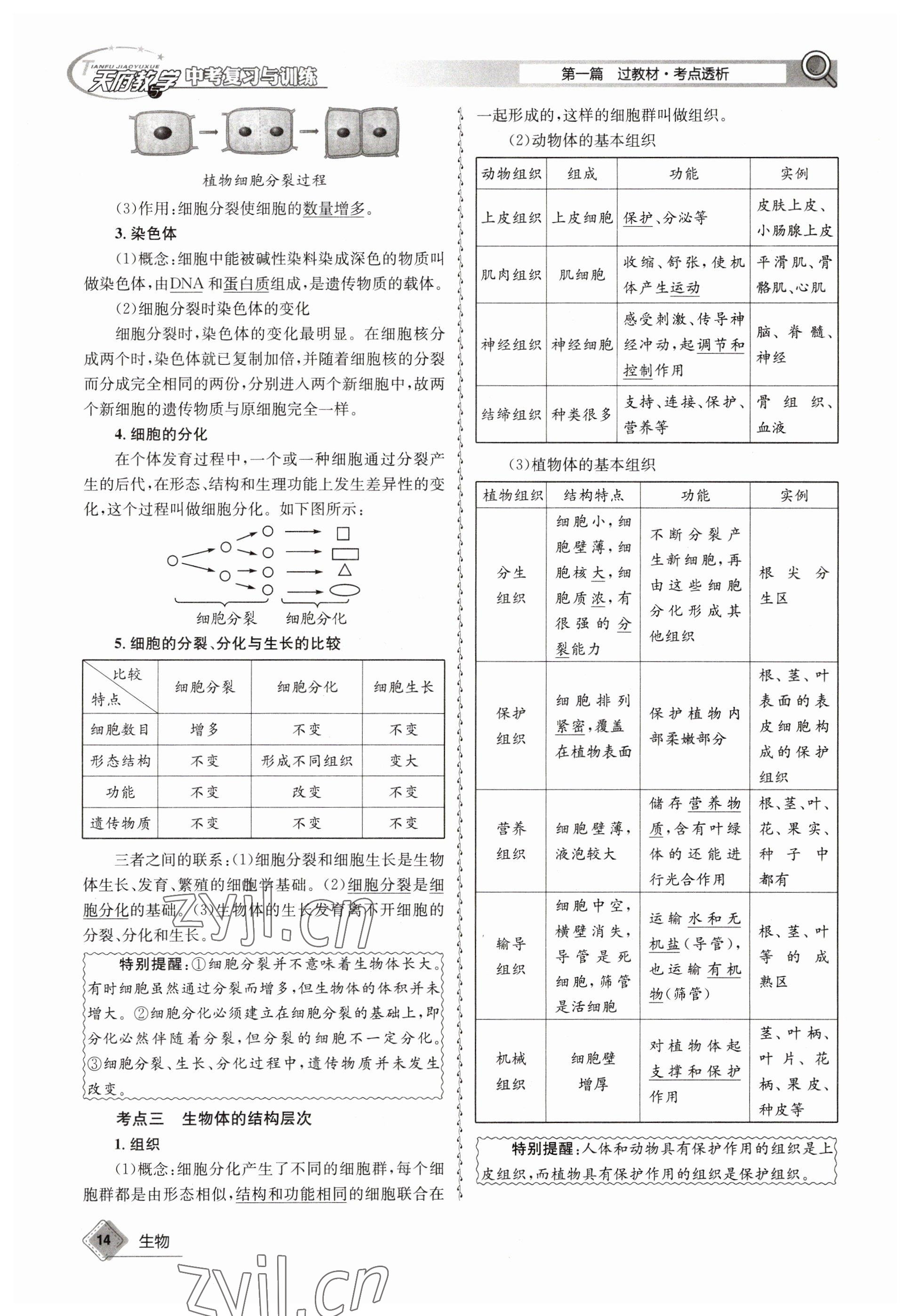 2023年天府教與學(xué)中考復(fù)習(xí)與訓(xùn)練生物 參考答案第14頁